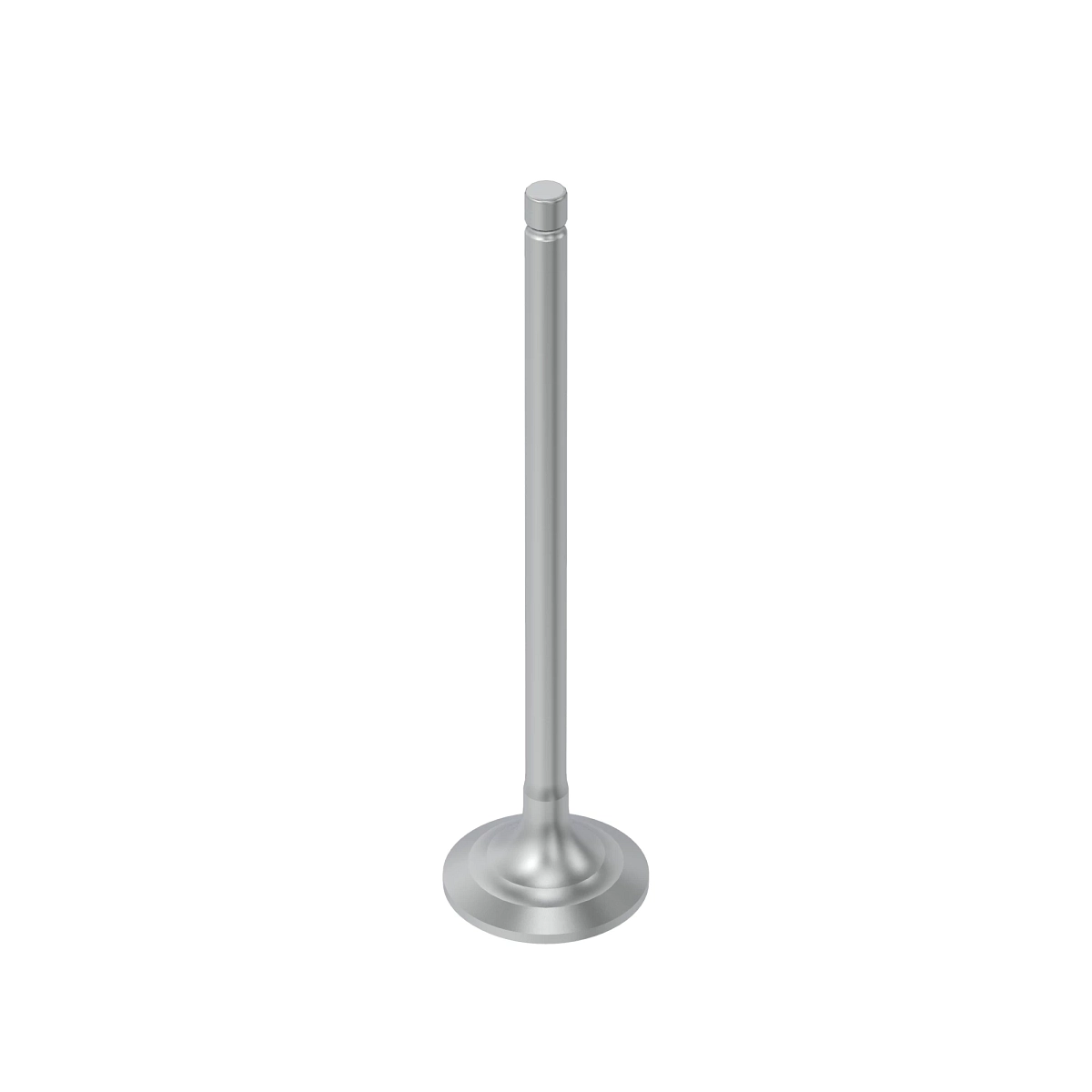 Exhaust Valve, (S350 FT4)