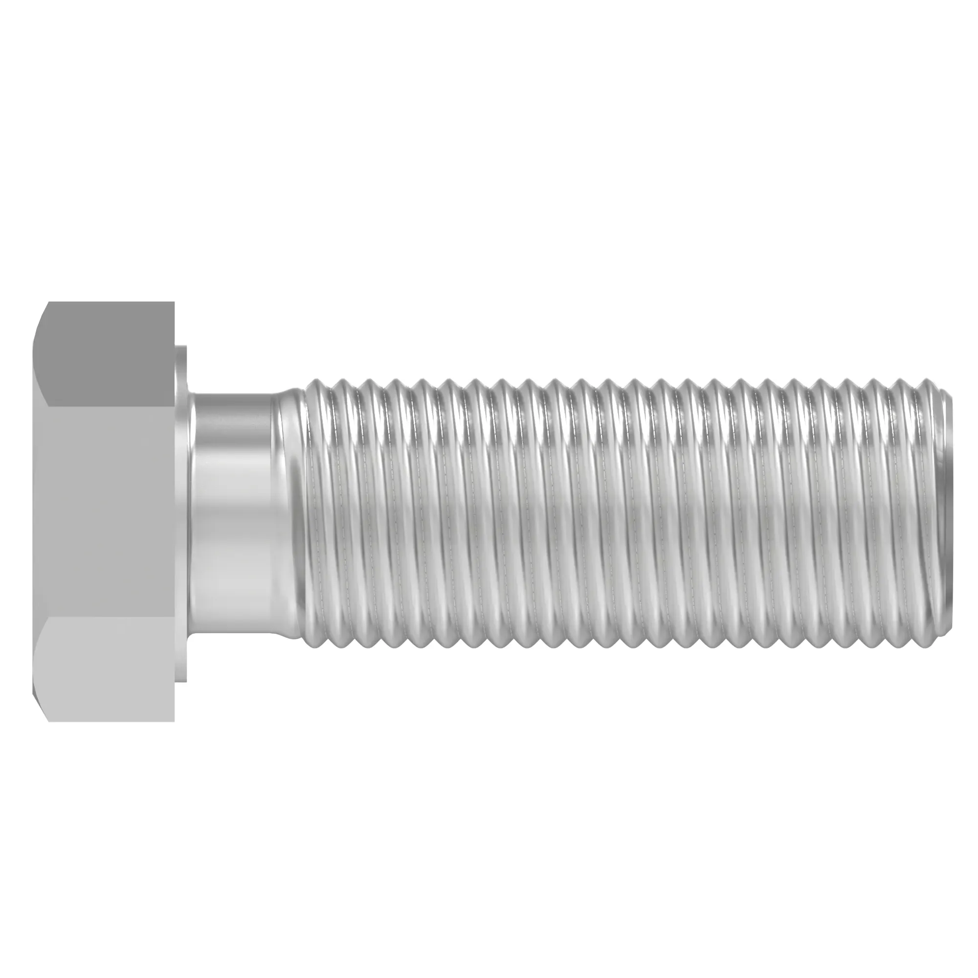 Cap Screw