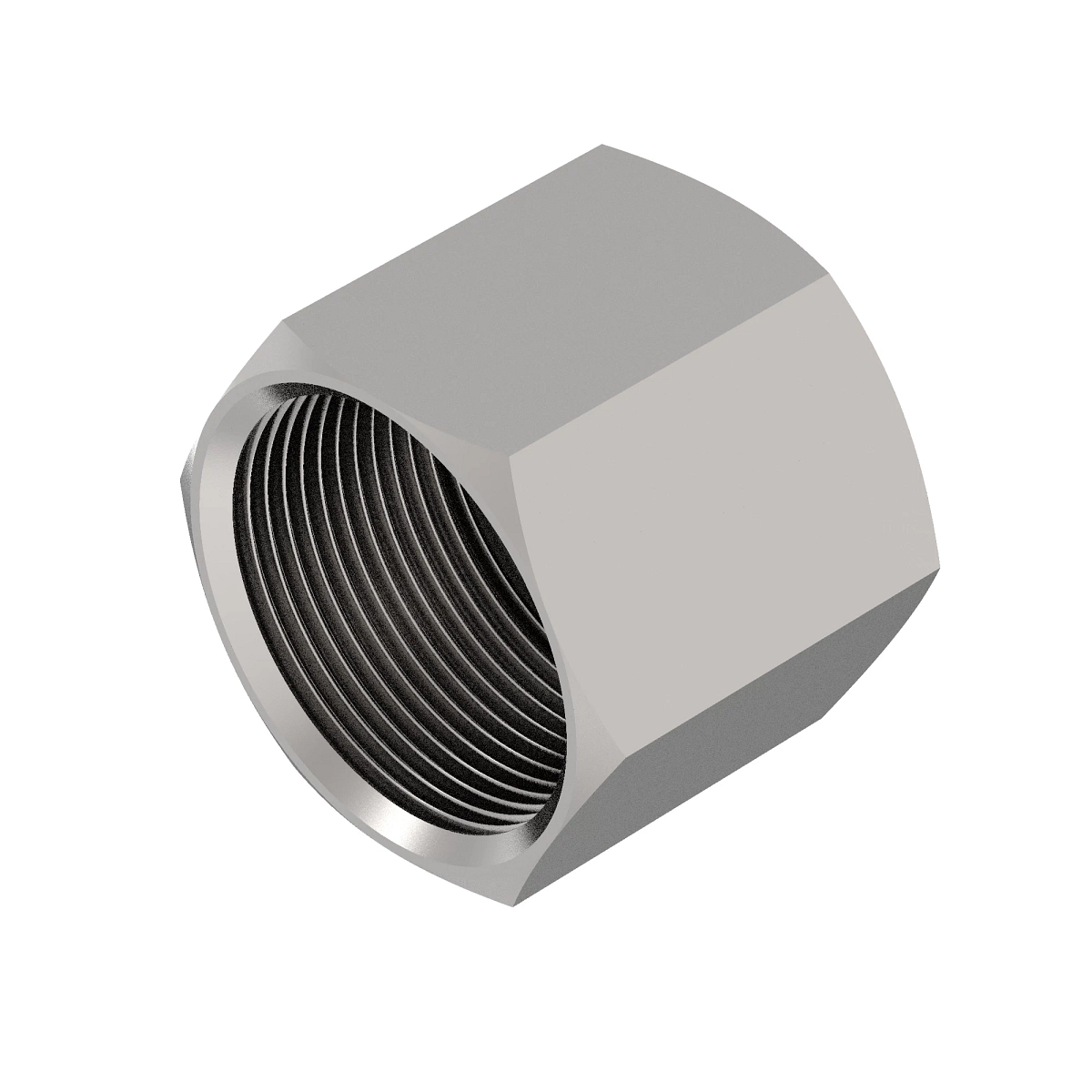 Fitting, Cap Assembly, O-Ring FSF
