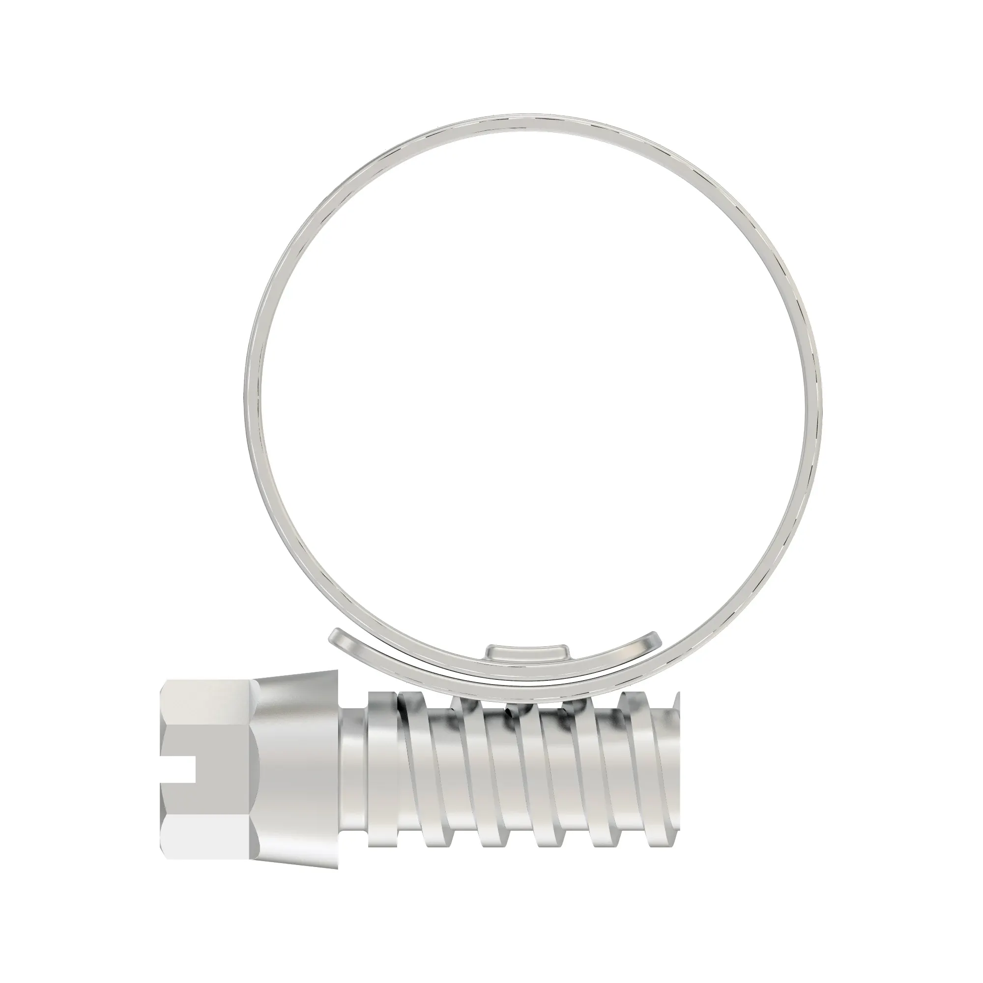 HOSE CLAMP, Hose Clamp