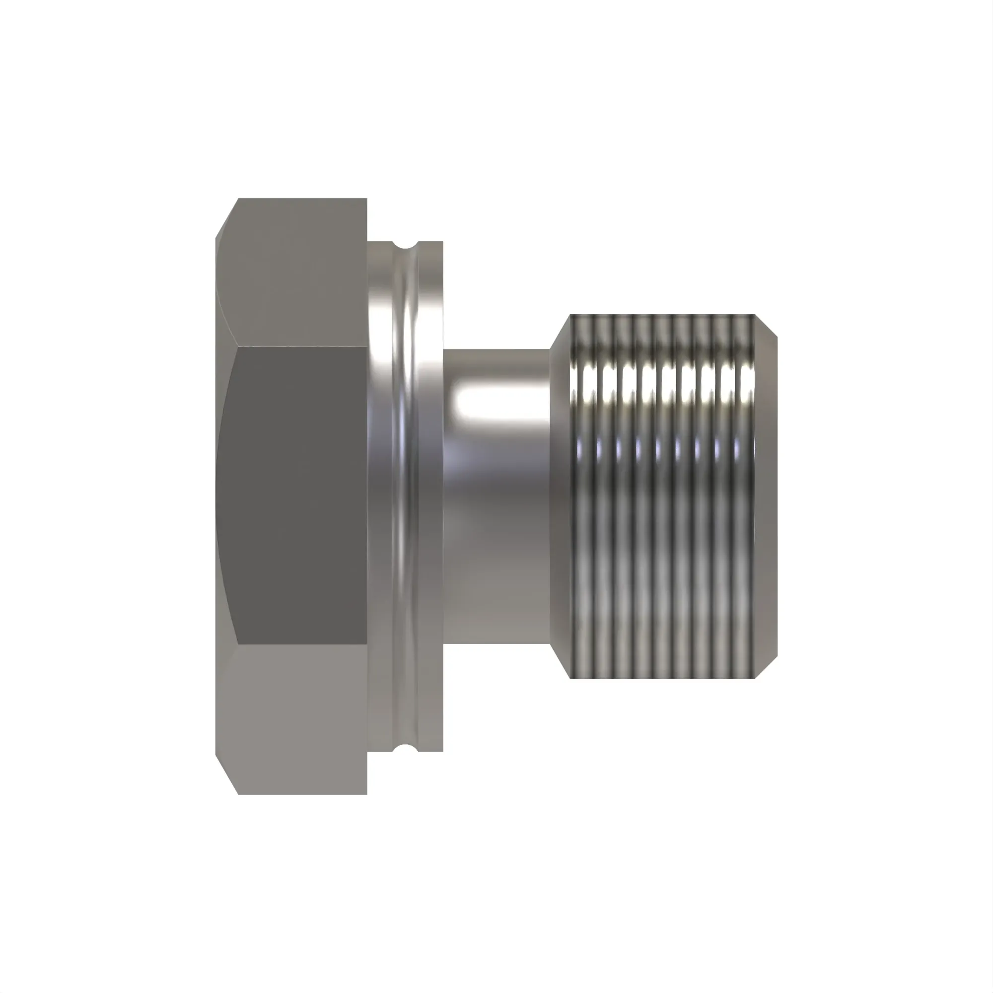 Fitting Plug