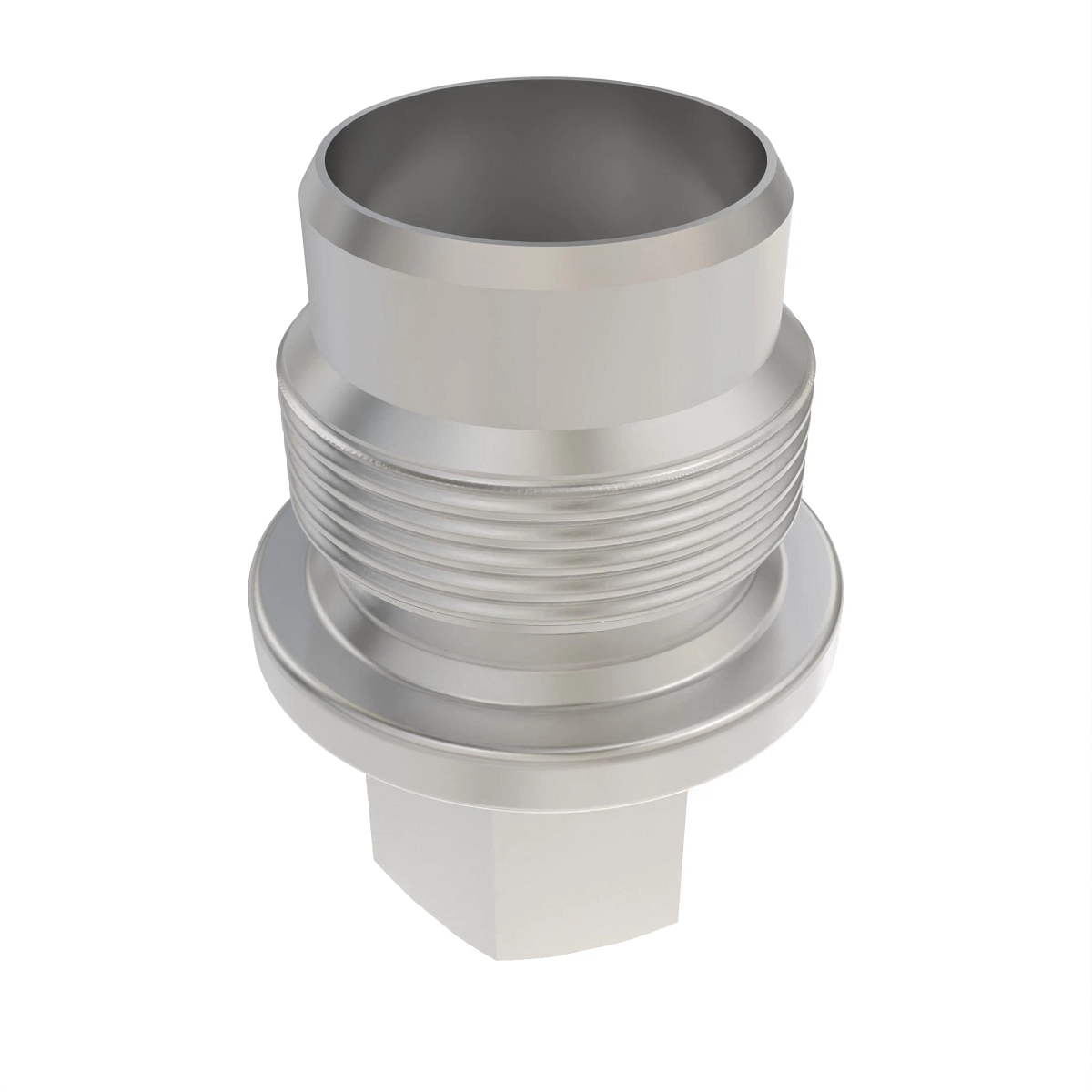 Fitting Plug