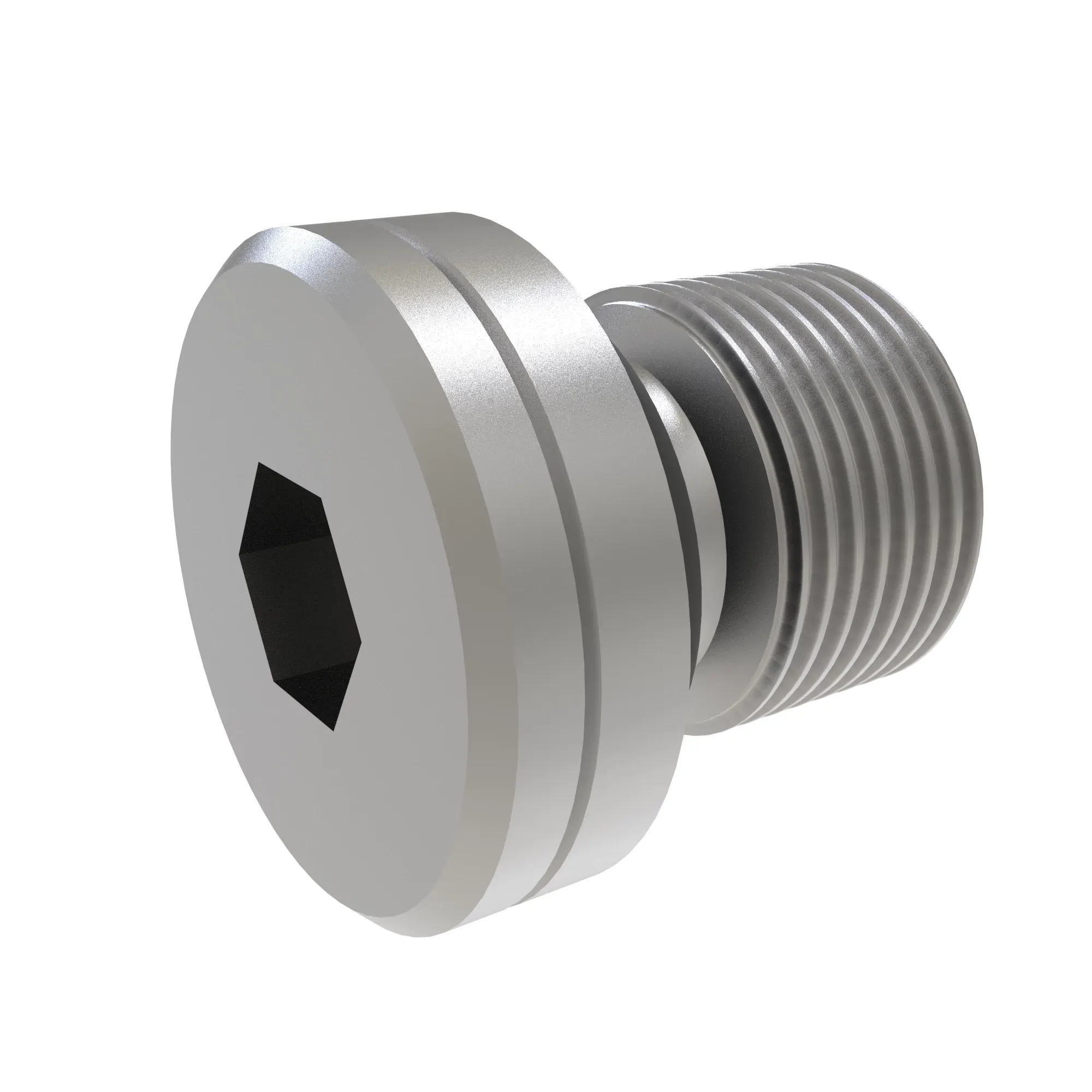 PLUG, METRIC (PLIH) WITH O-RING