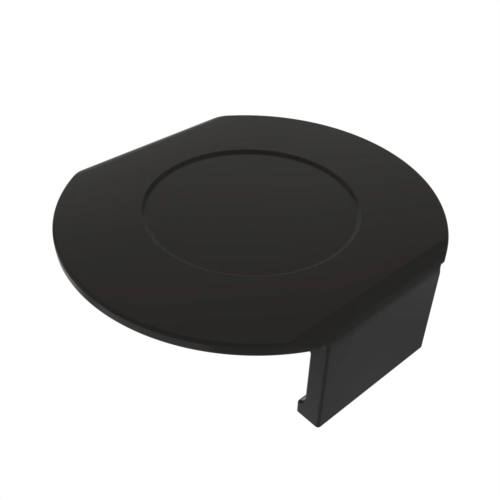 CAP PLUG (DBL DISK)