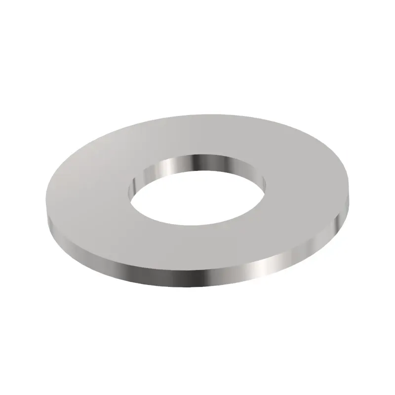 WASHER, FLAT .25 SS