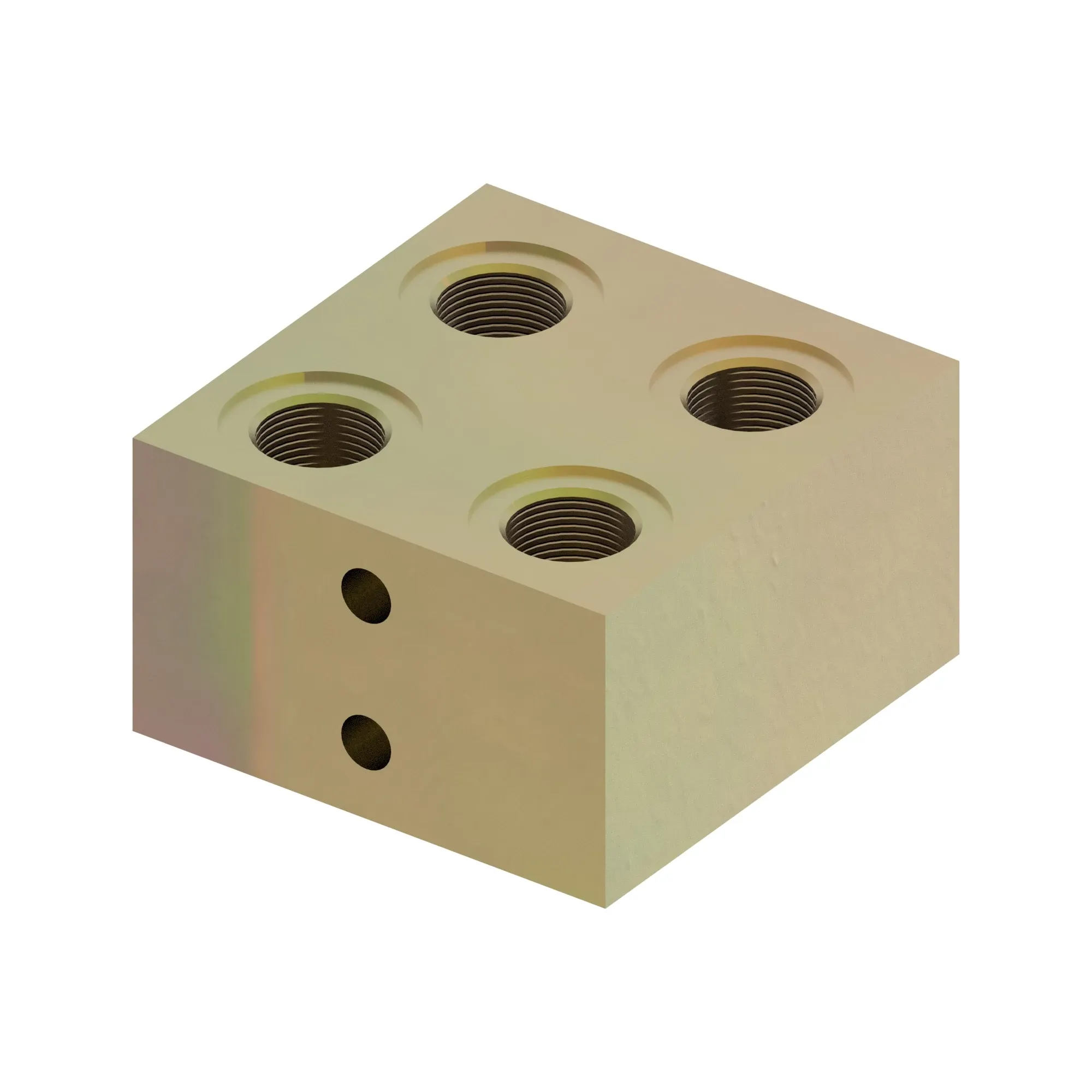 MANIFOLD