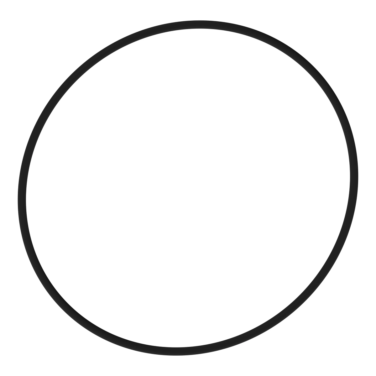 O Ring