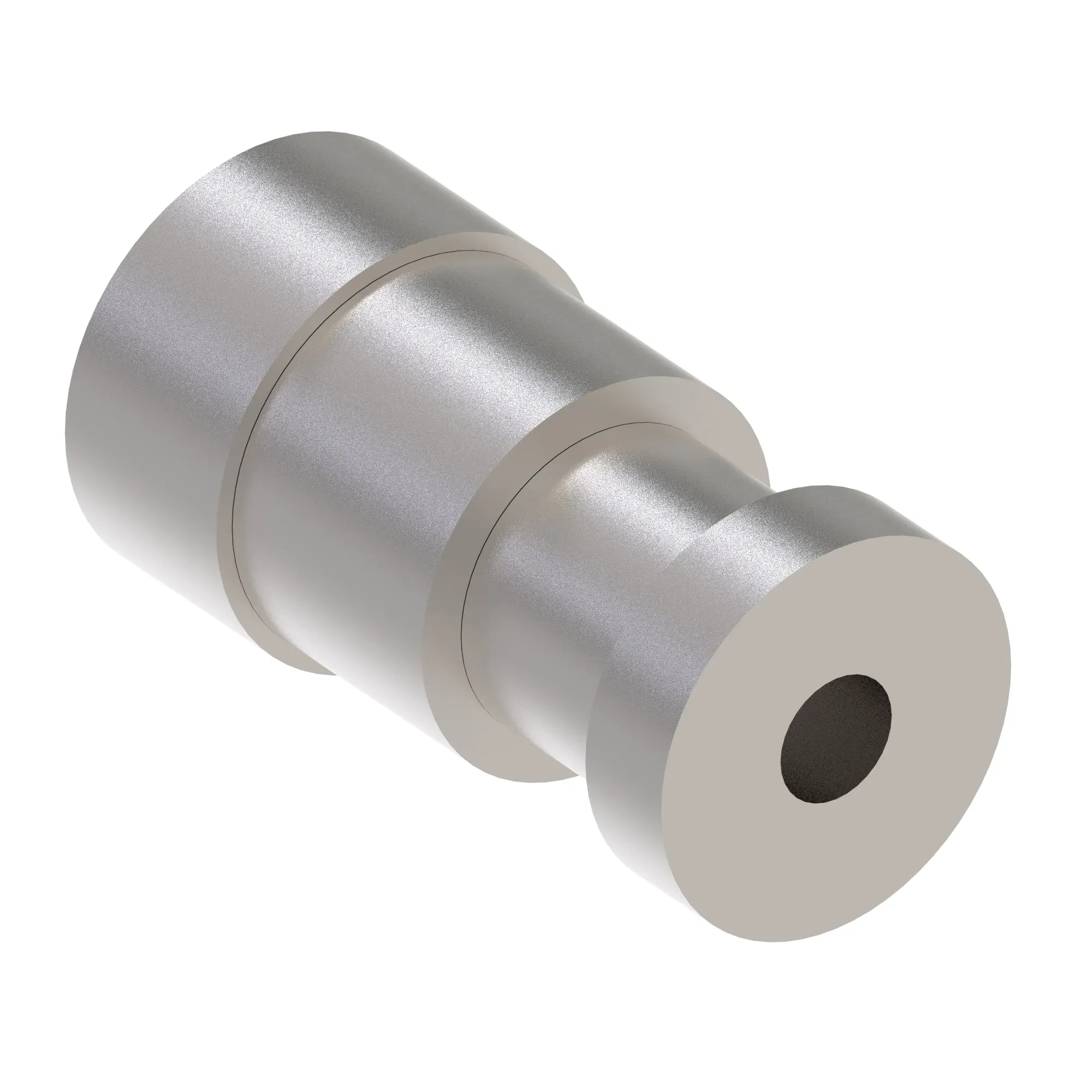 Check Valve