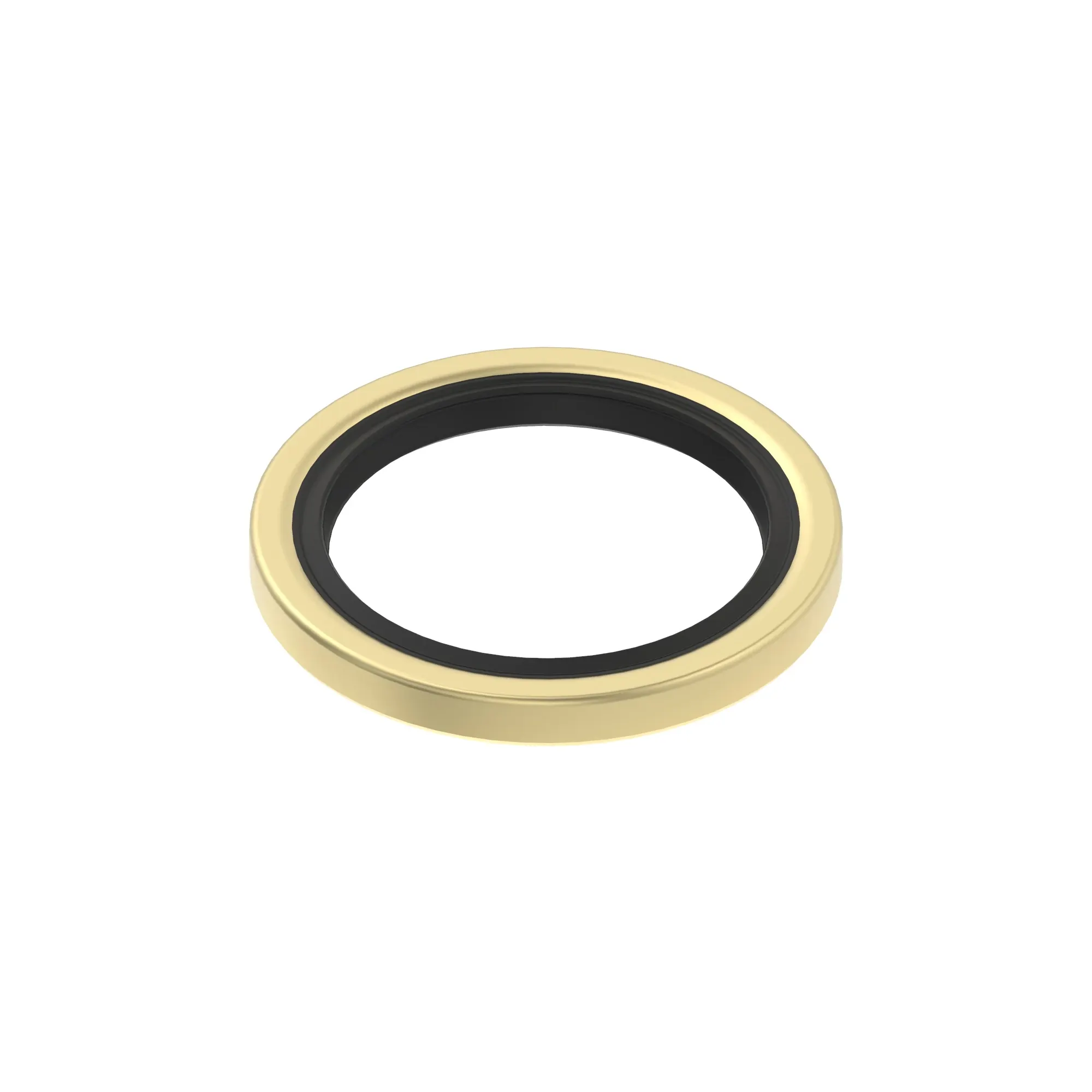 SEAL, OIL LIP