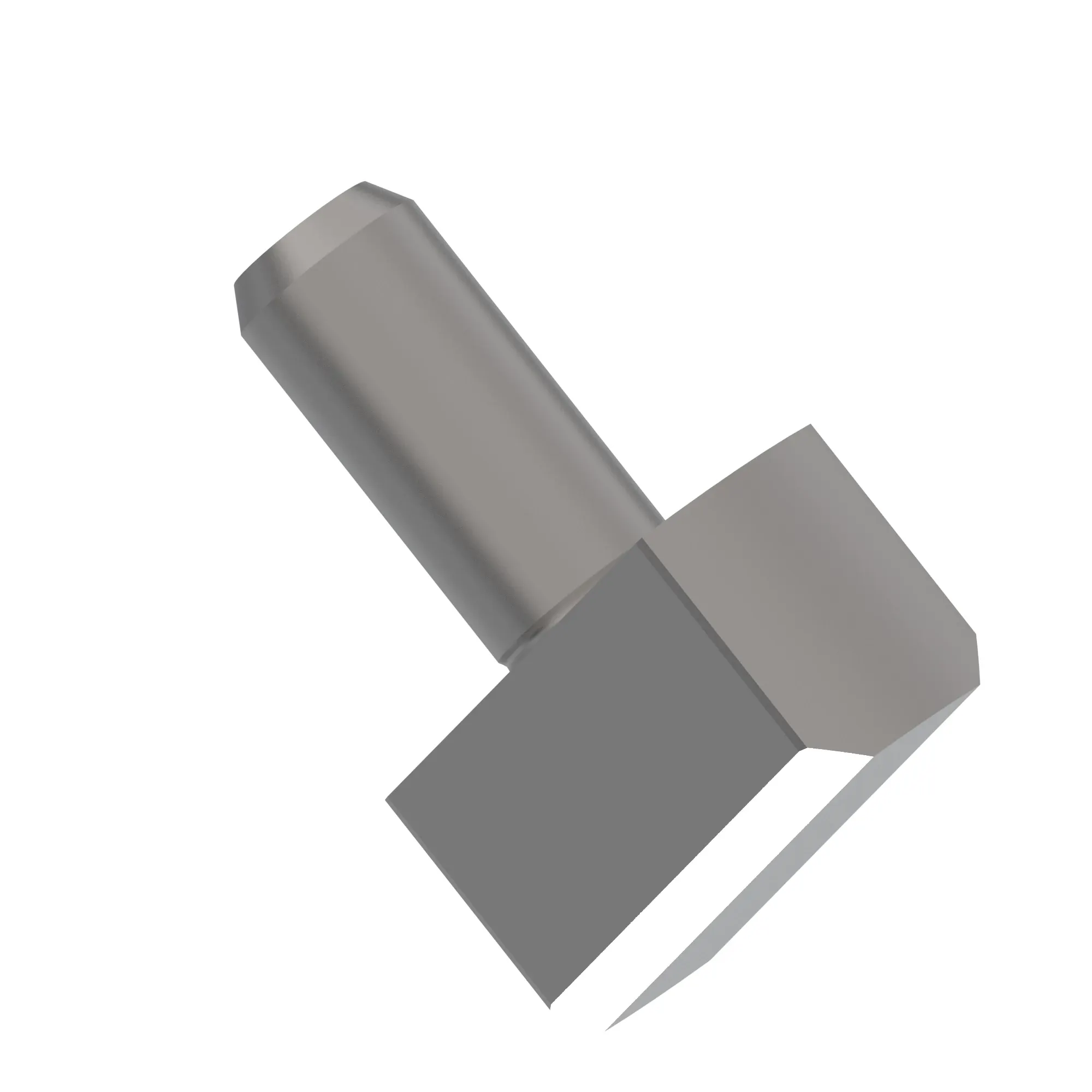 Pin