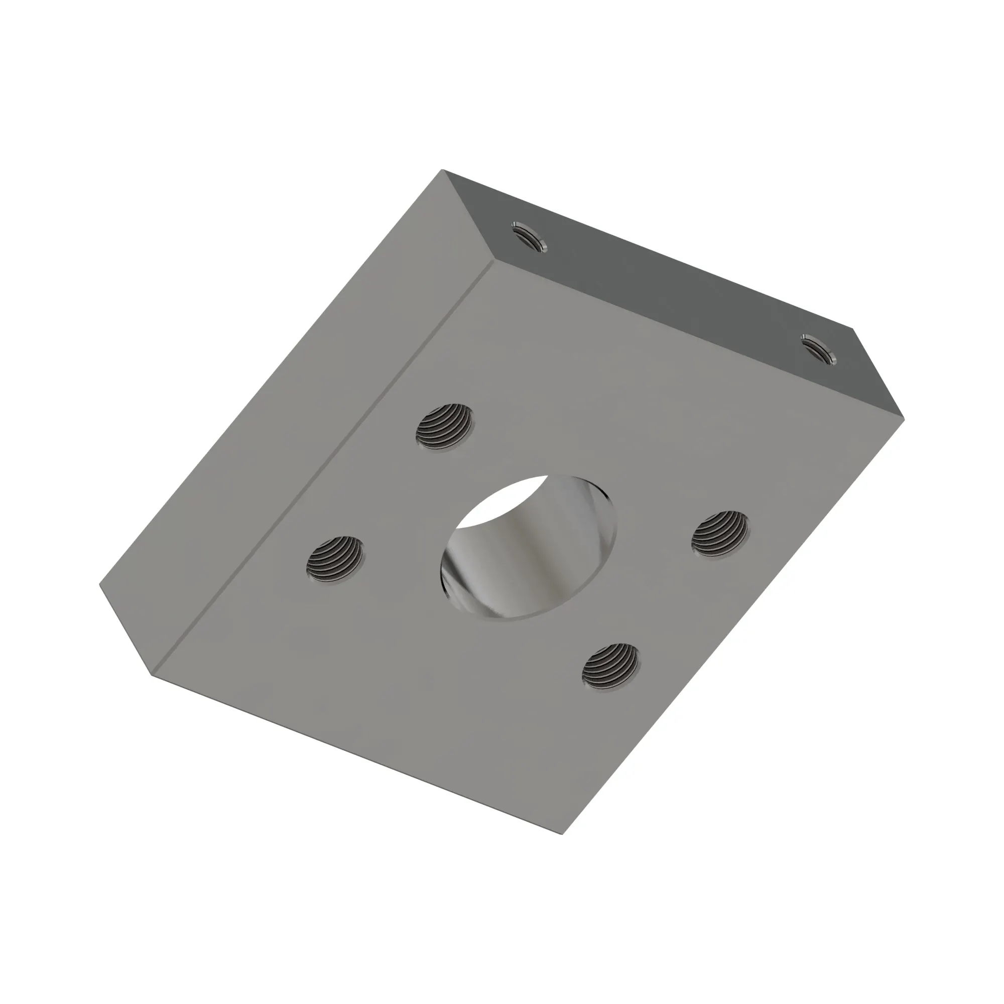 Manifold