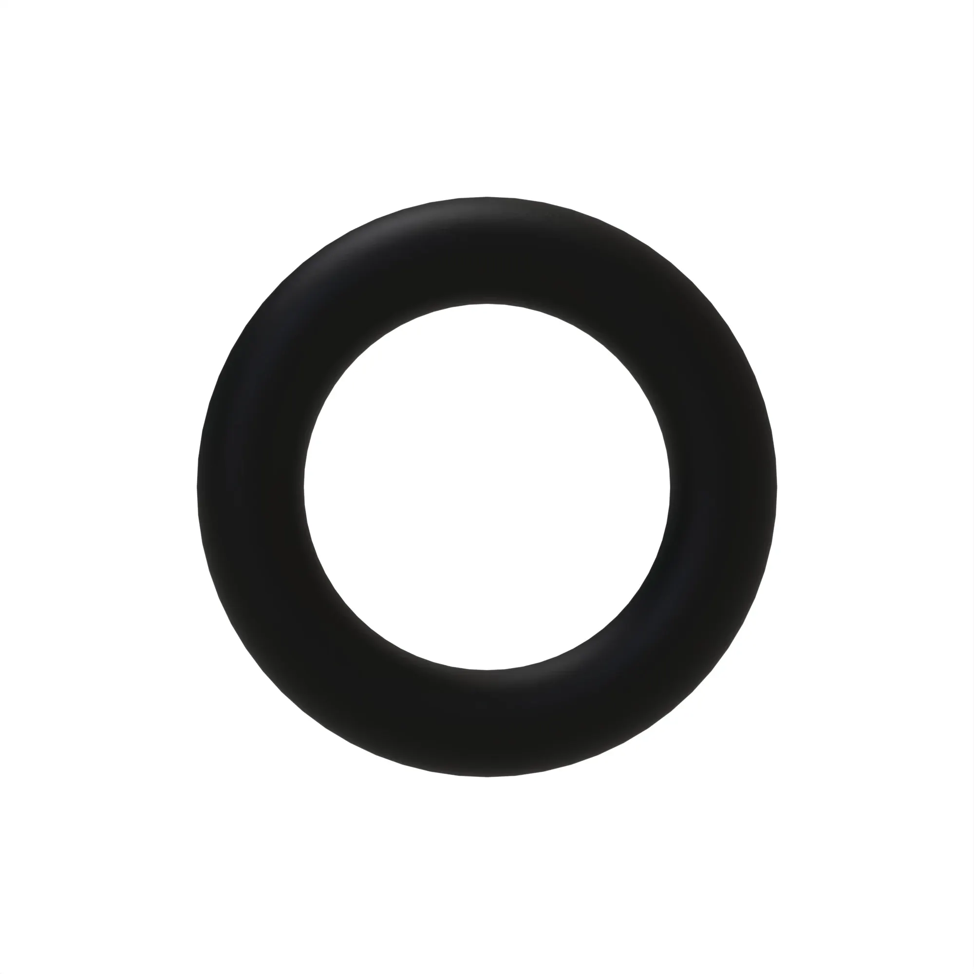 O-RING, ARP010