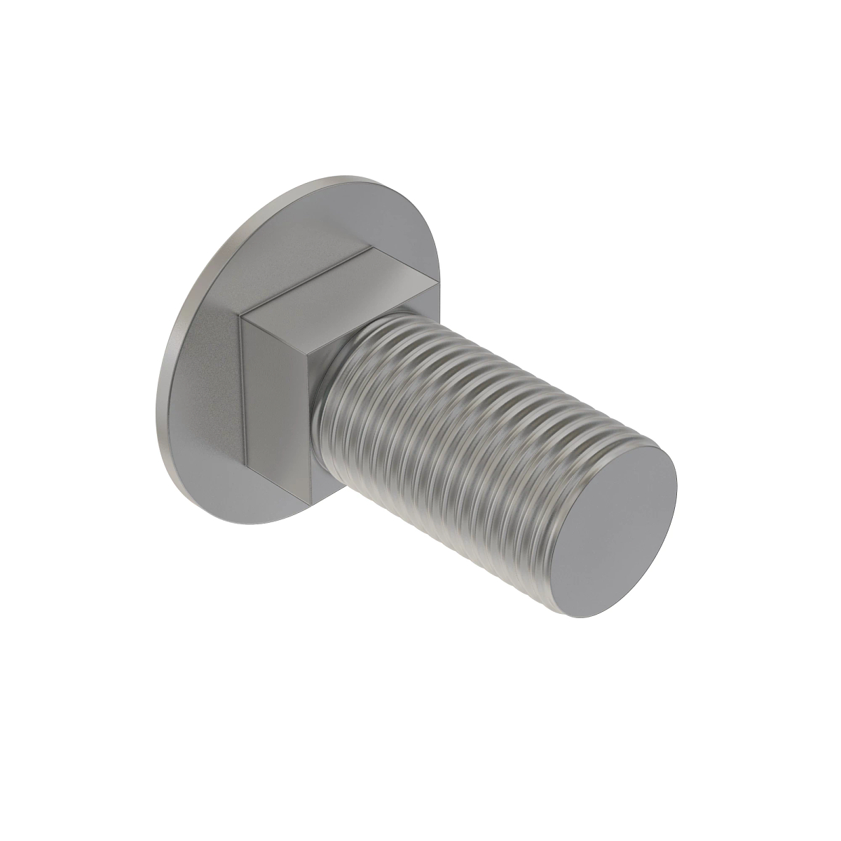 Bolt, Round Head Square Neck