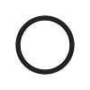 O-Ring