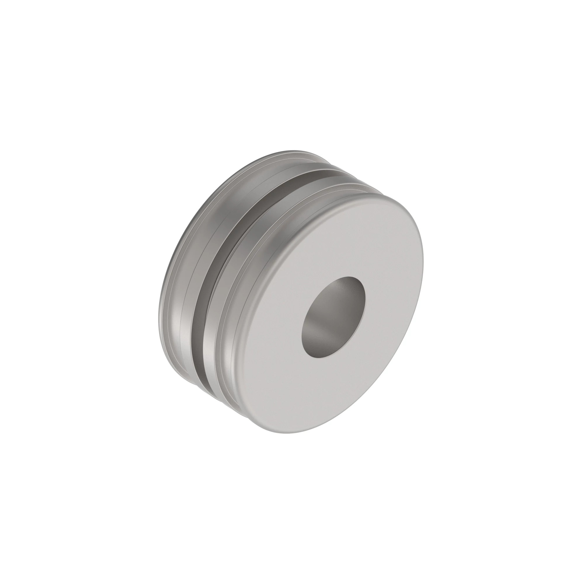 PISTON, 100 X 56 X M33 2 PC SEAL