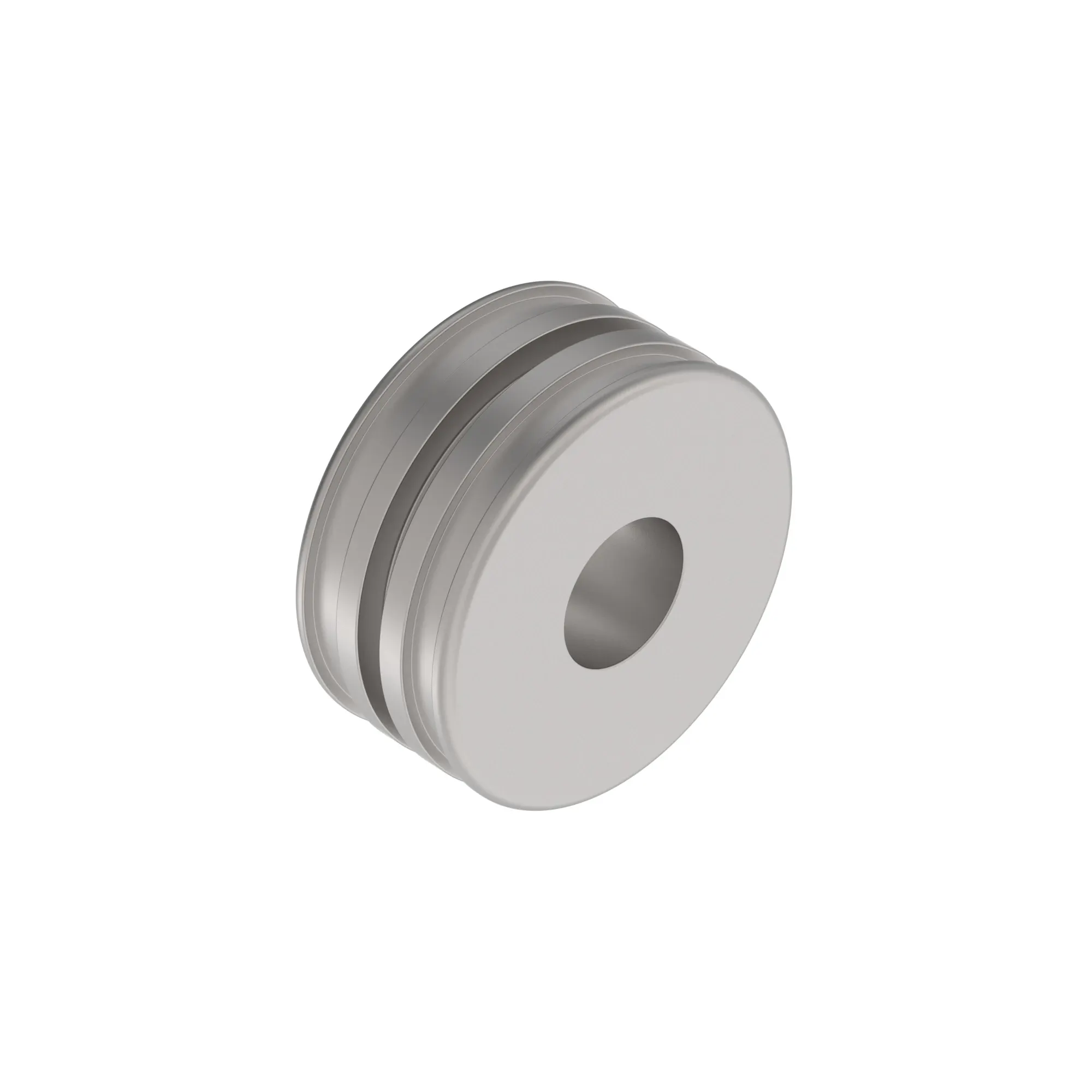 PISTON, 100 X 56 X M33 2 PC SEAL