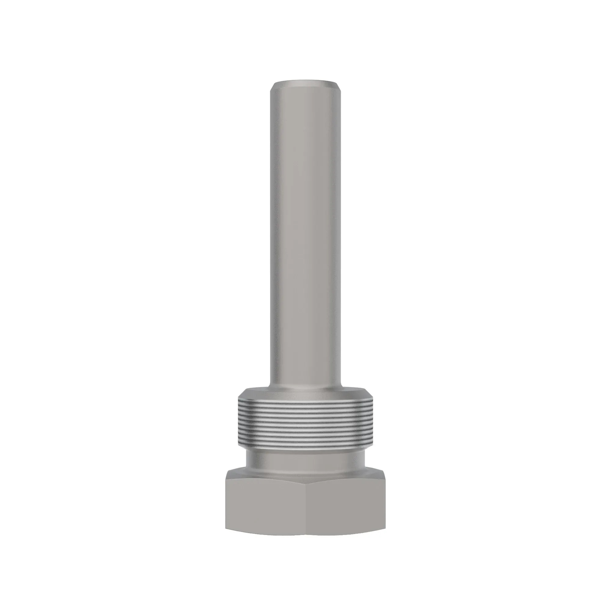 Fitting Plug