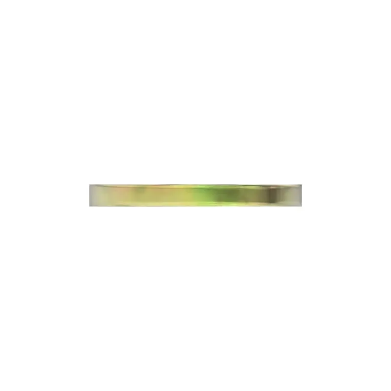 ES10595: Lock Washer