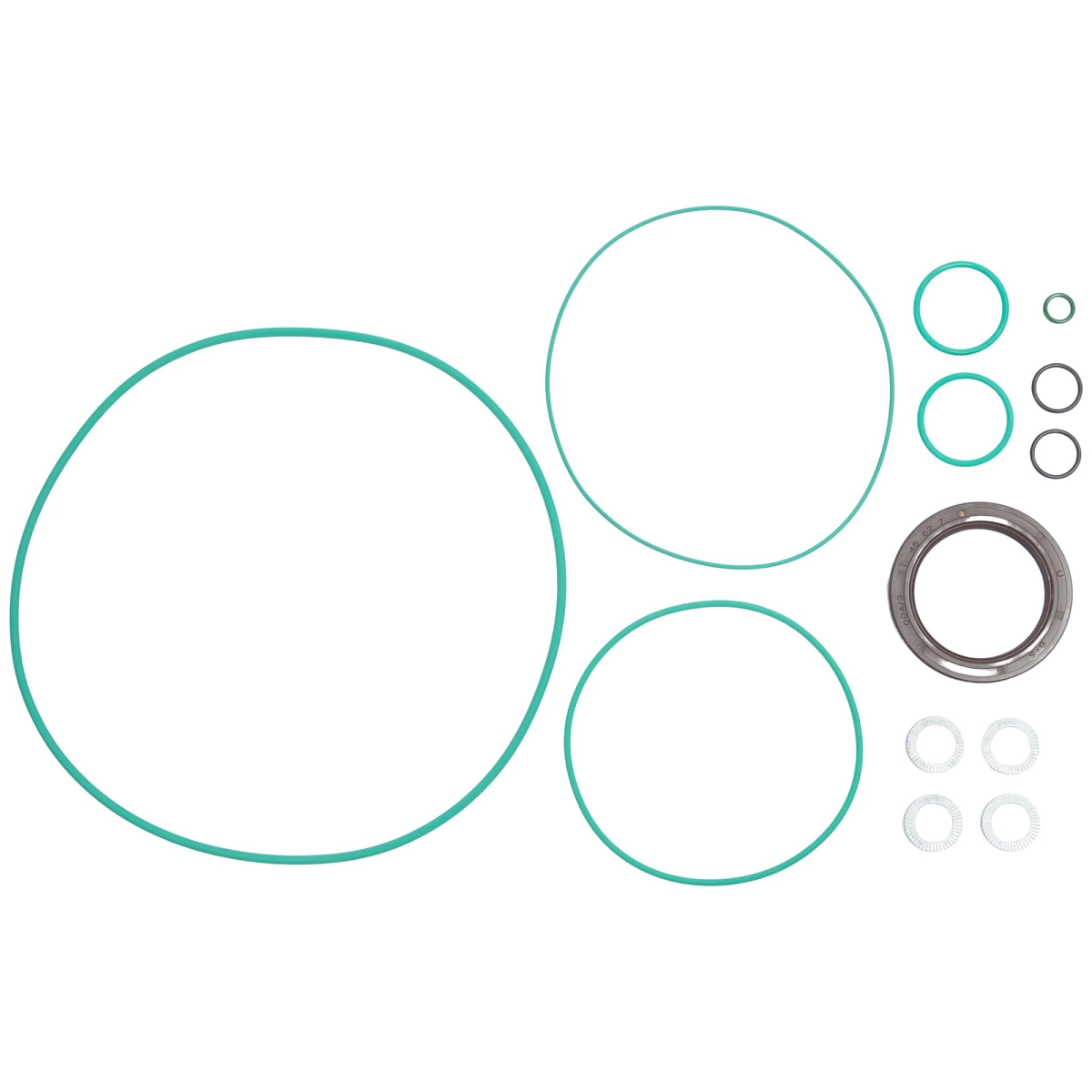O-Ring Kit, Hydro Leduc Breakdown P
