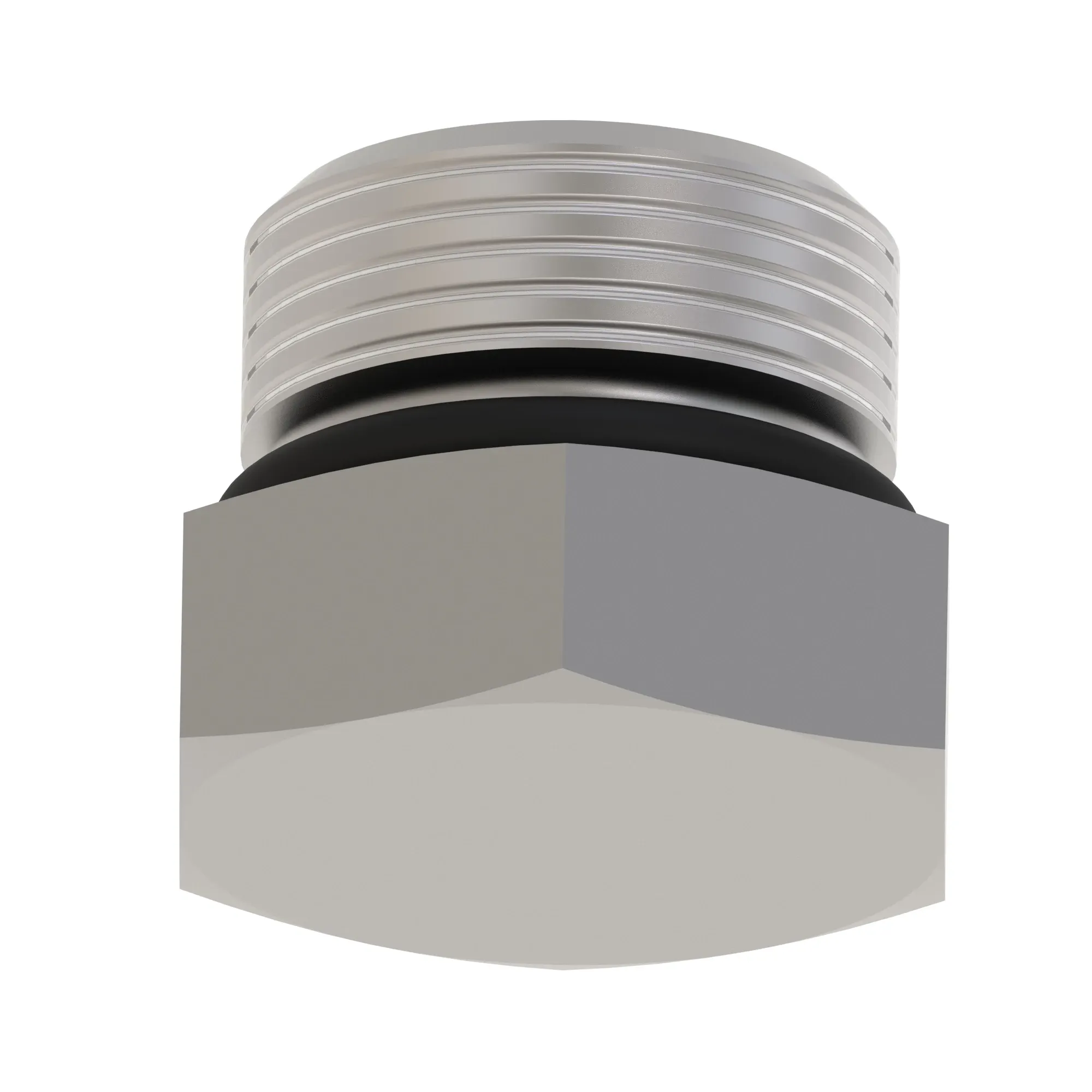 Fitting Plug