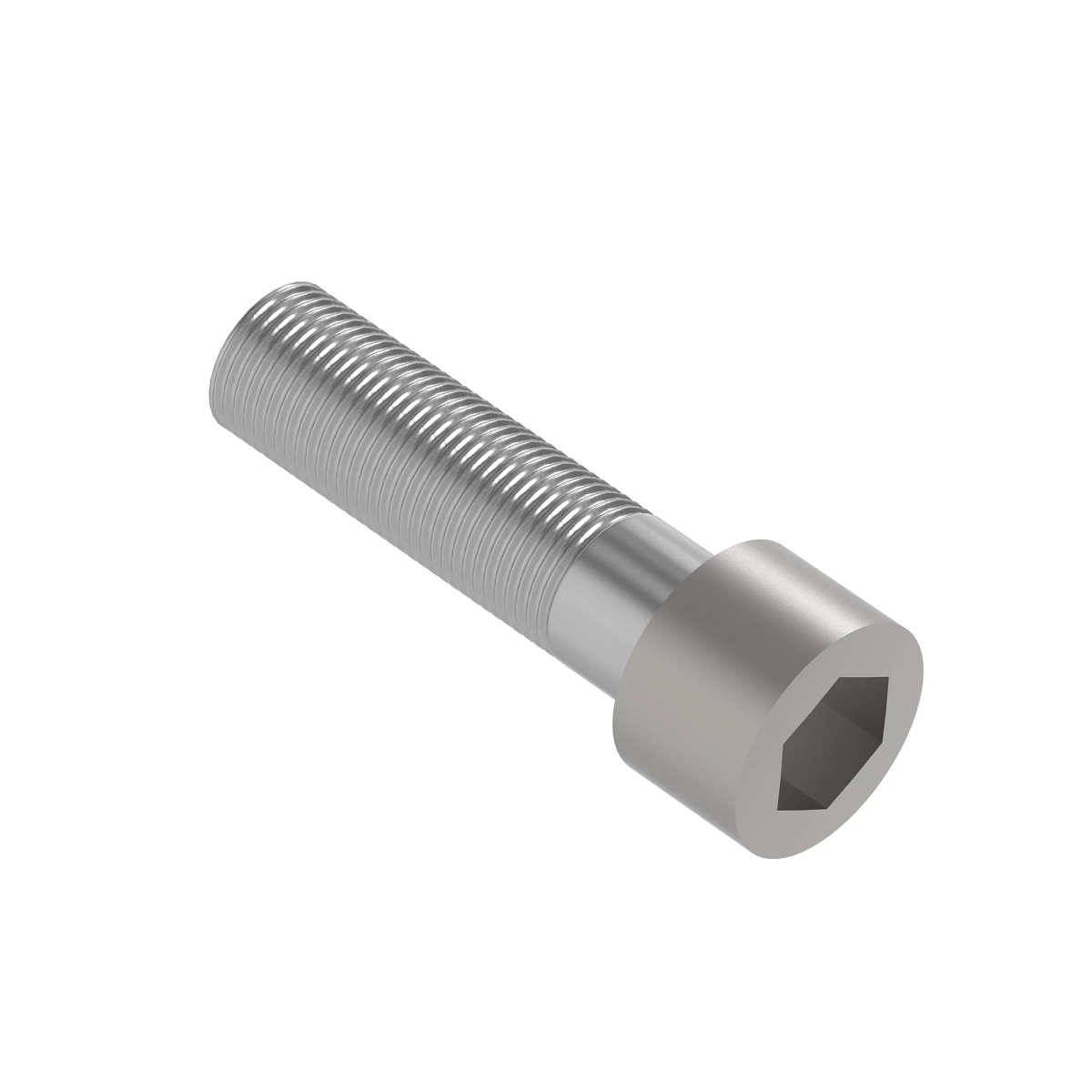 Screw, Hex Socket Head, Metric