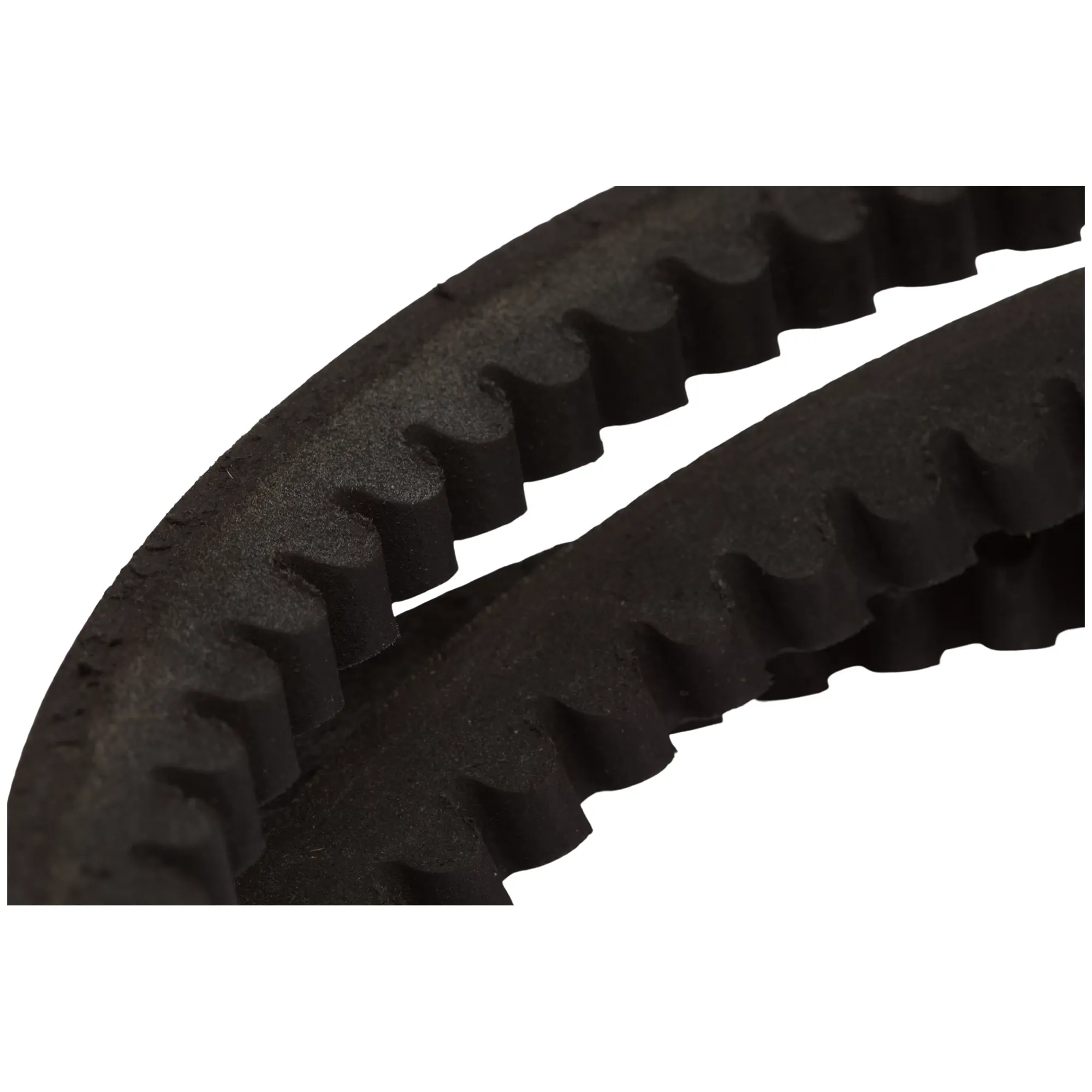 CONJUNTO DE CORREIAS