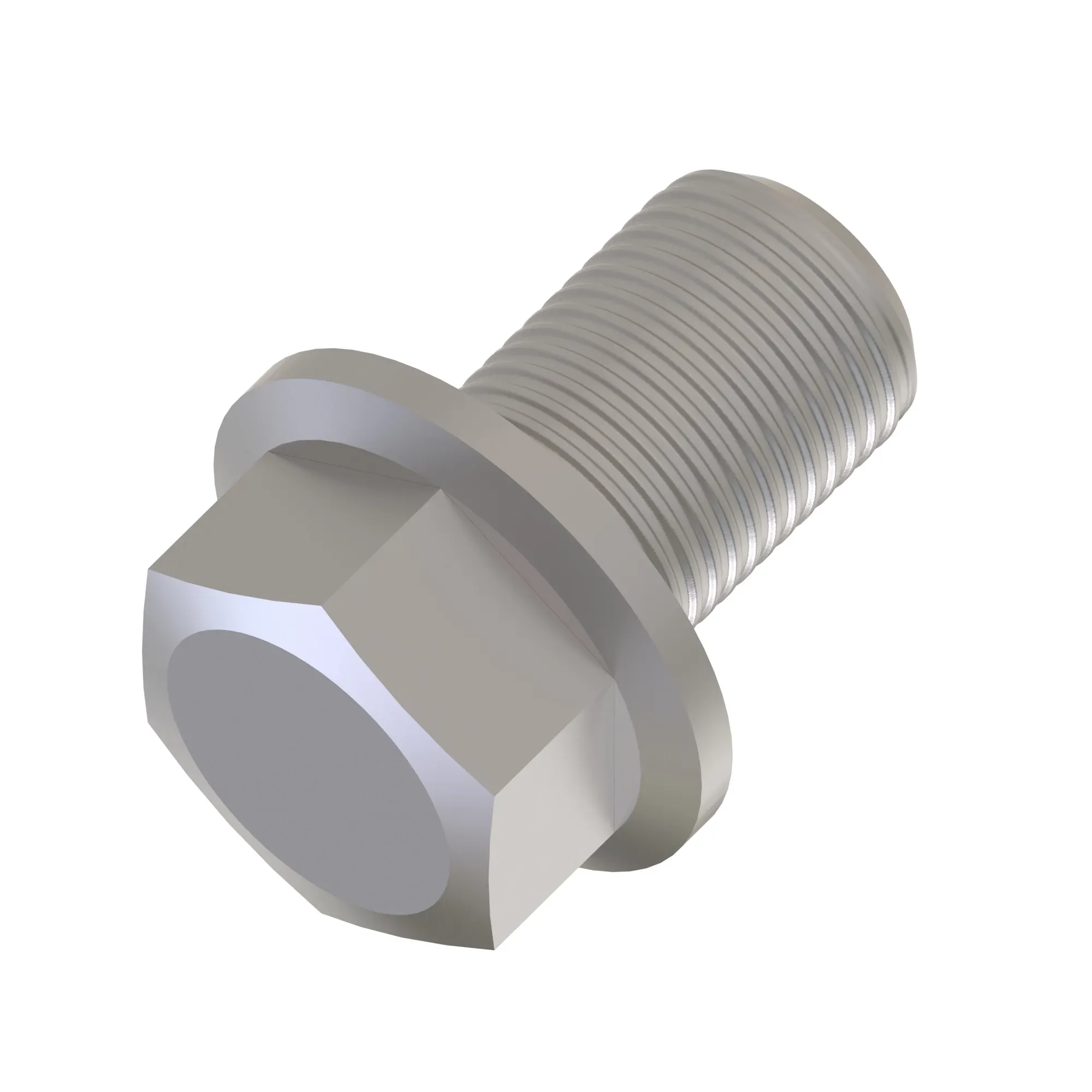 Screw With Washer