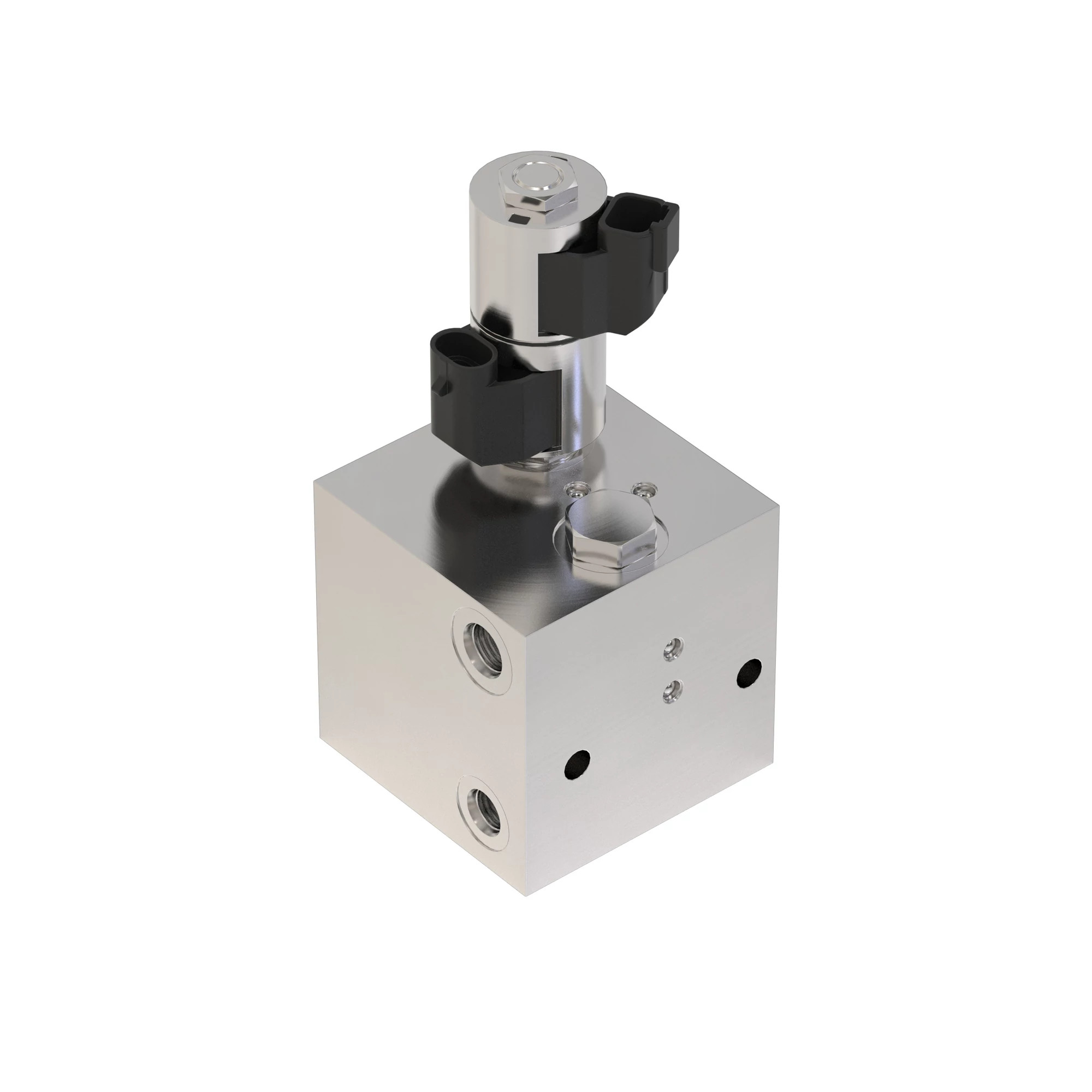 Dinh Cuong KG3G04748 アンジェリーノ Dinh Cuong KG3G04748