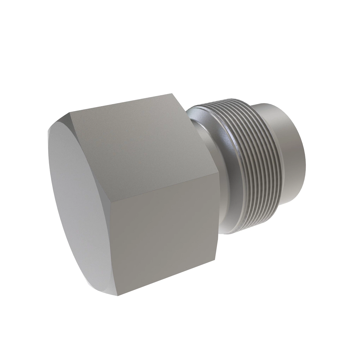 Fitting Plug, Detent