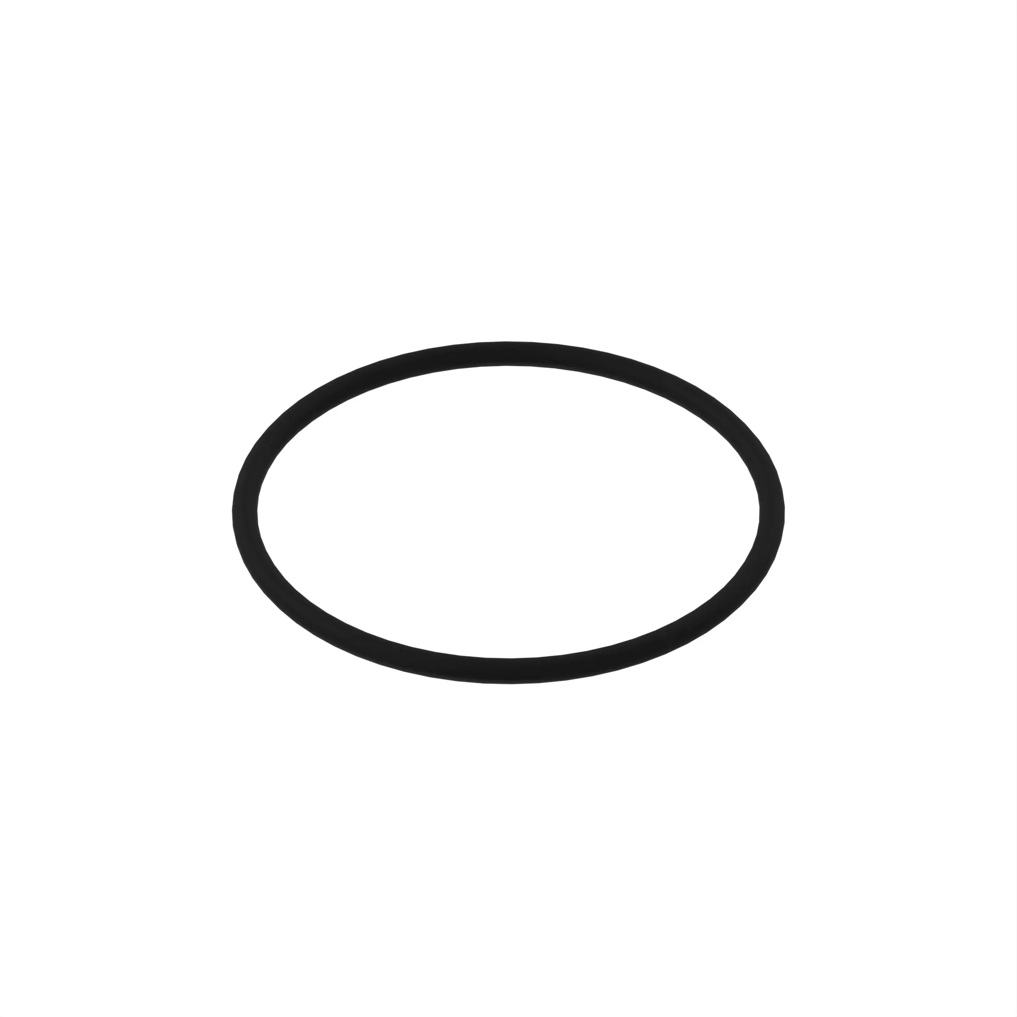 R77673: O-Ring