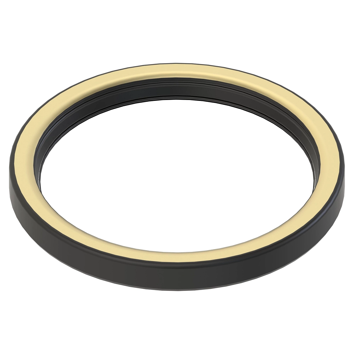Dust Seal