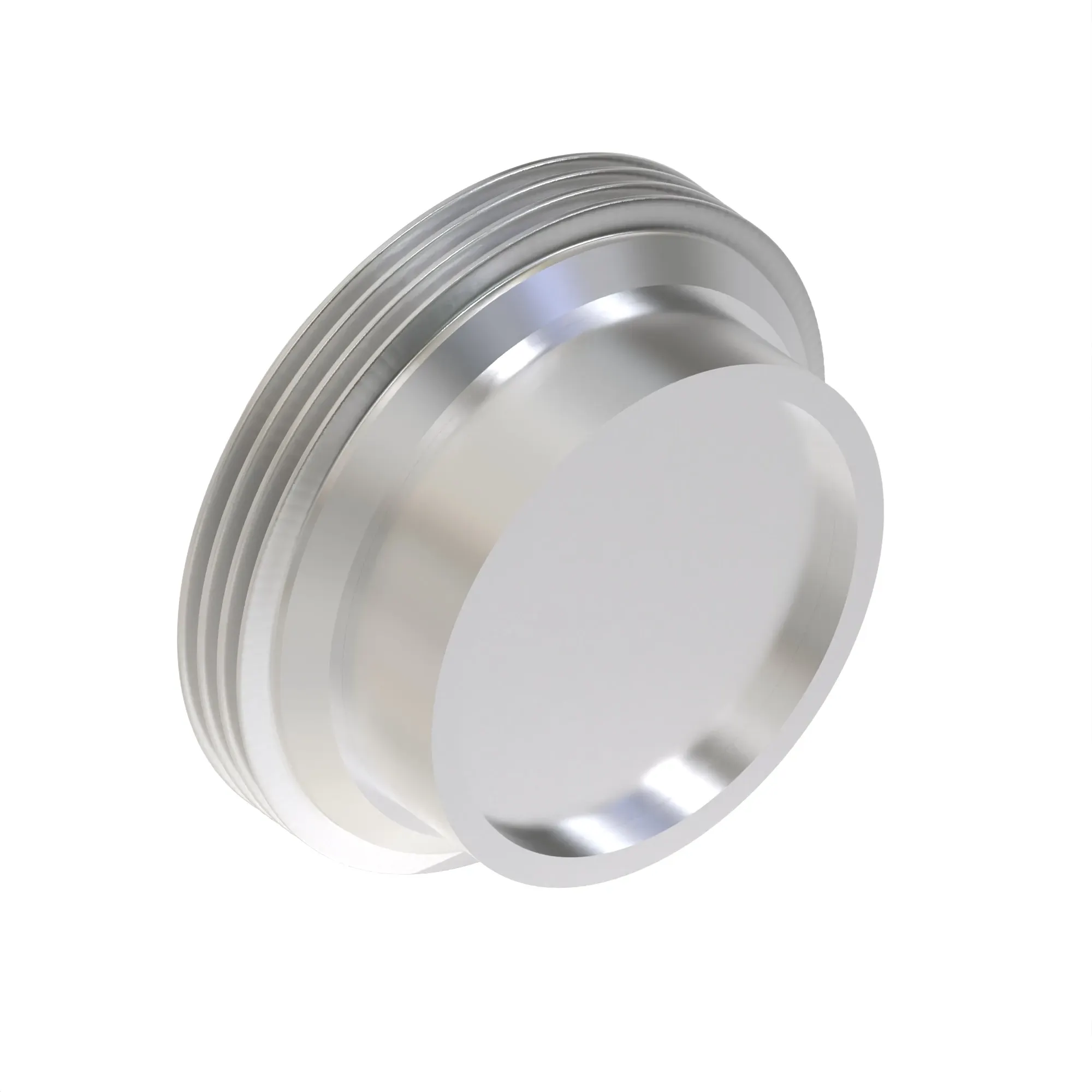 Check Valve