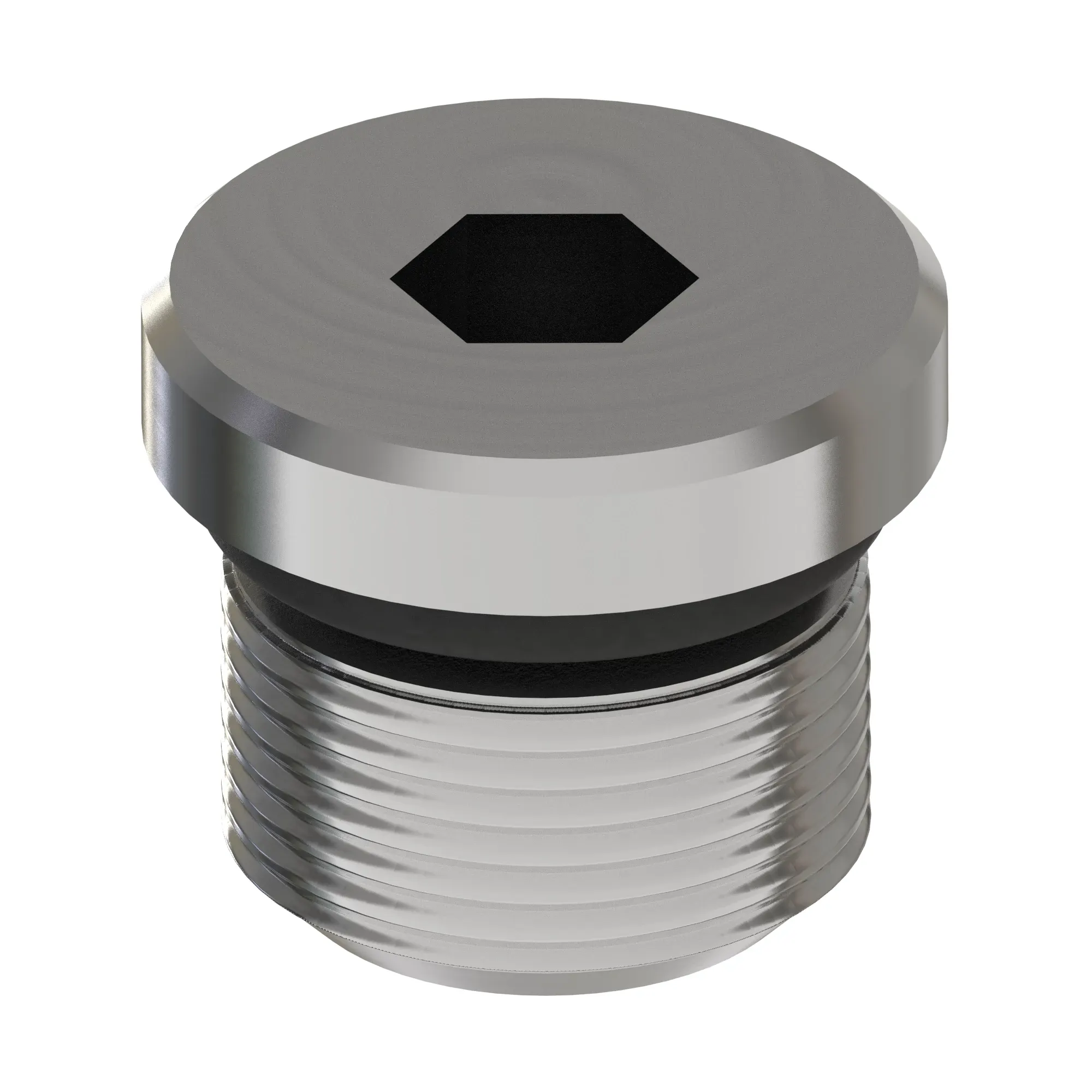 Plug, Sae-4 Strt Thd Hollow Hex Ori