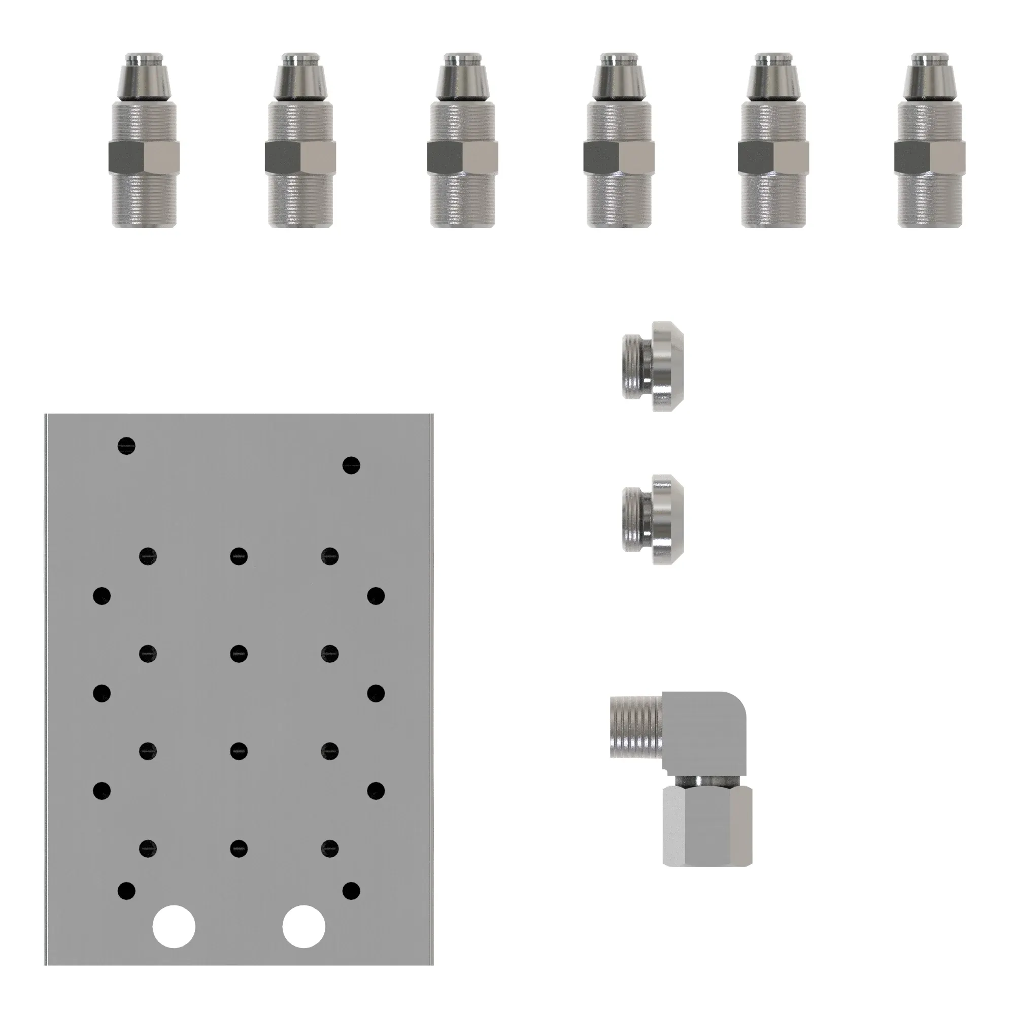 Manifold Kit