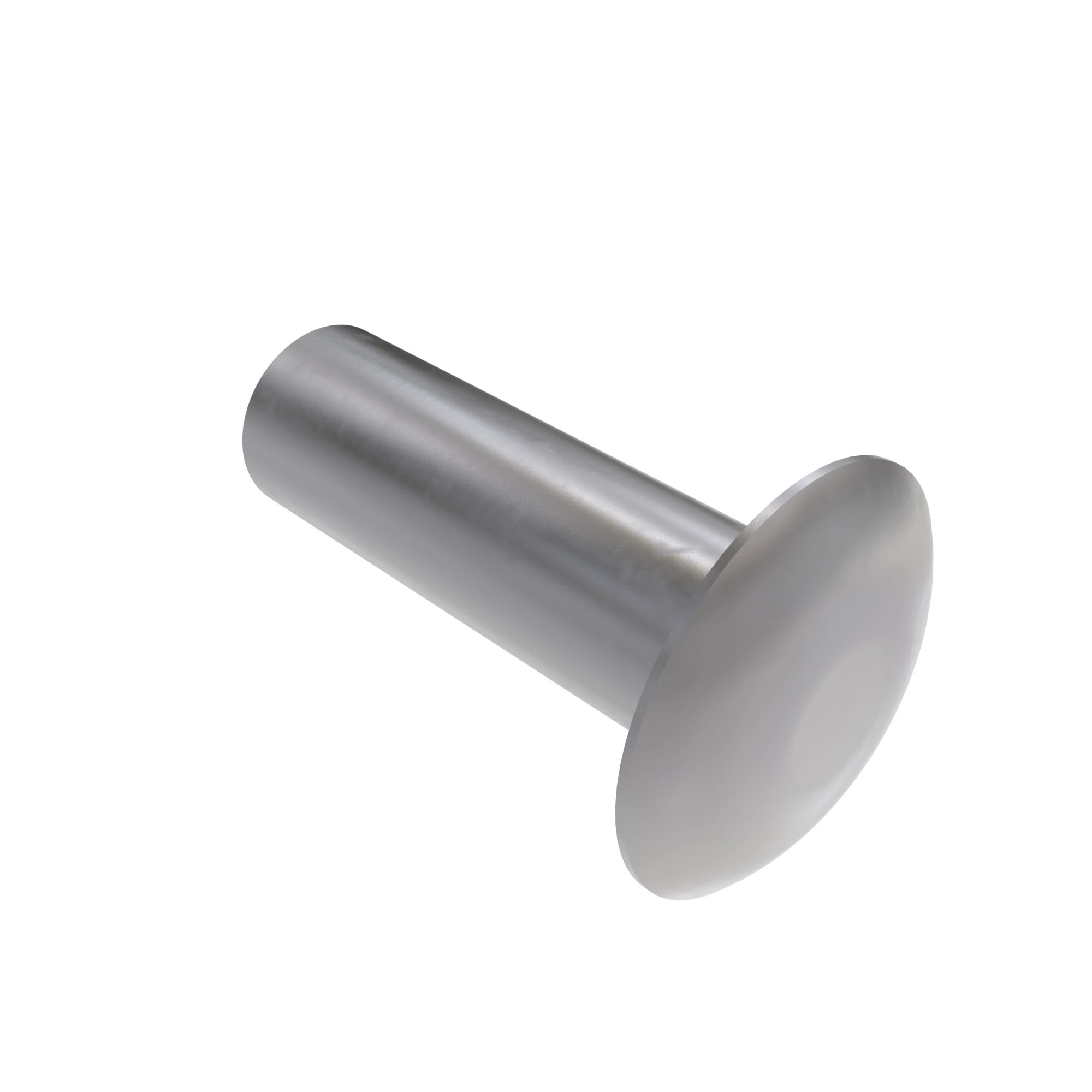 RIVET 4.8 DIA STAINLESS STEEL