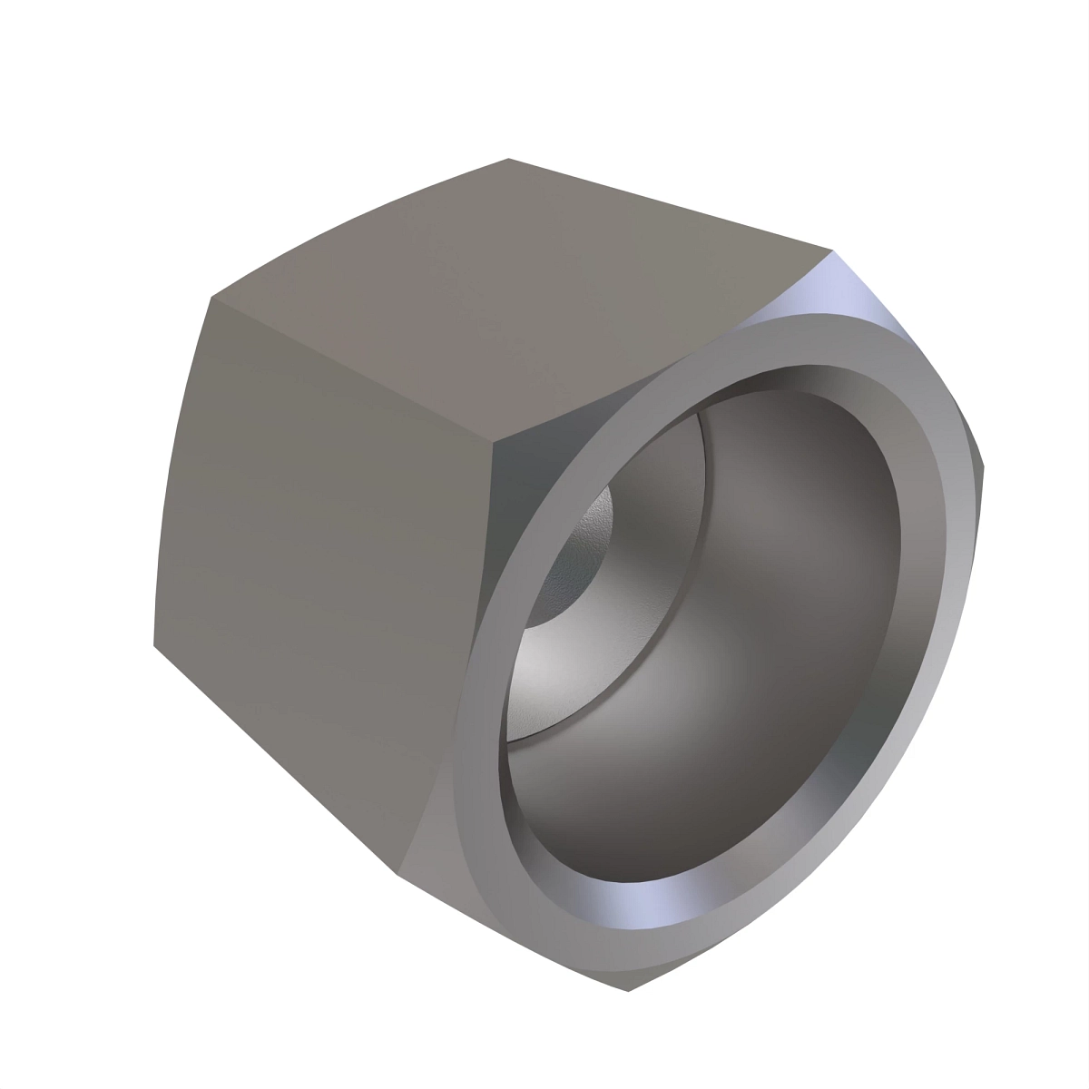 Fitting, Cap Electroless N