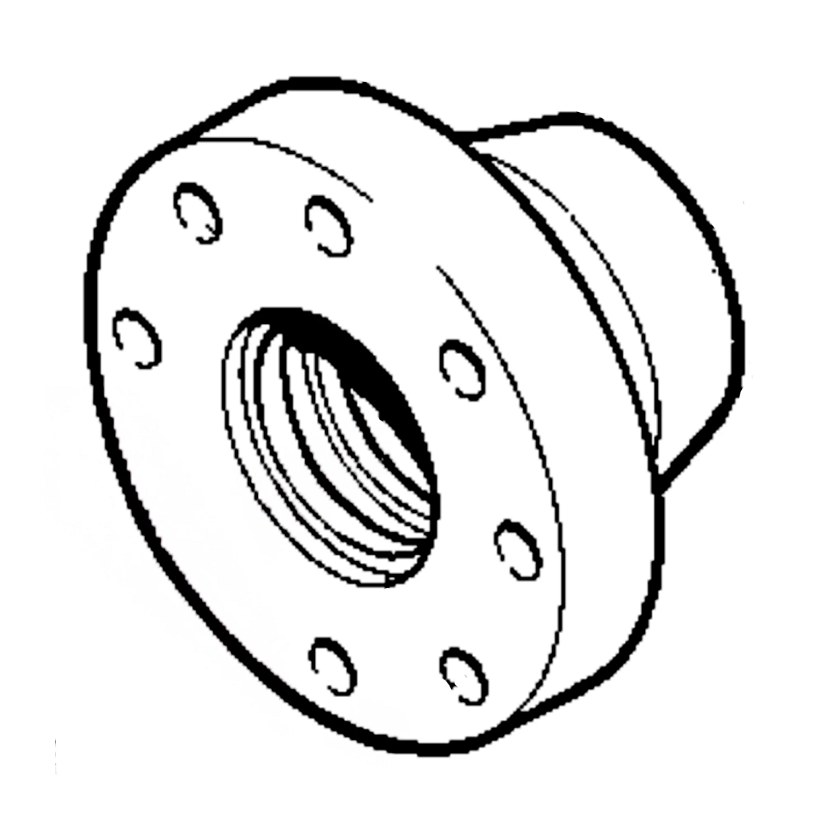 Head