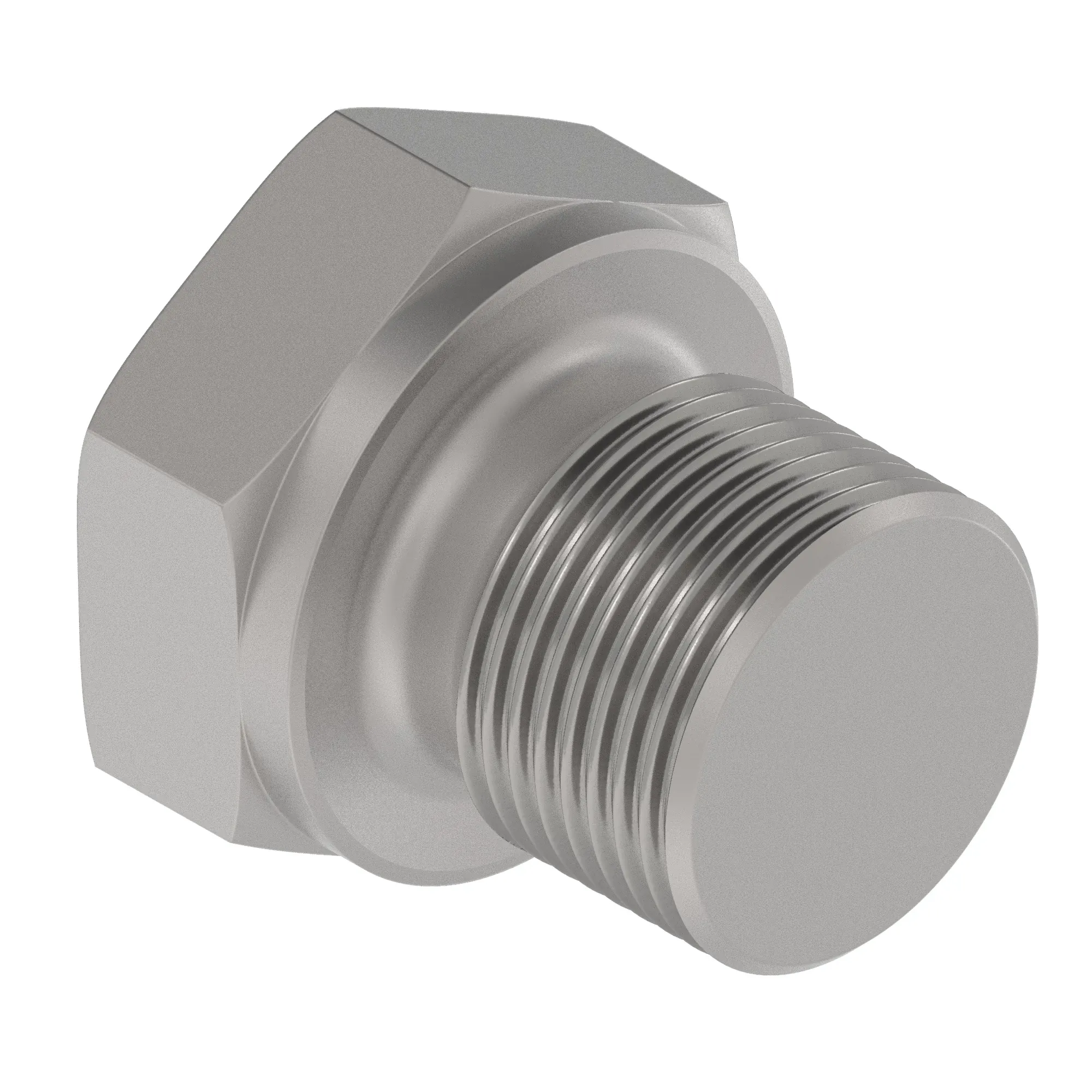 FITTING PLUG