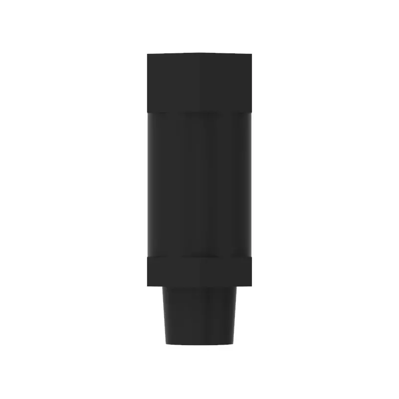 Check Valve