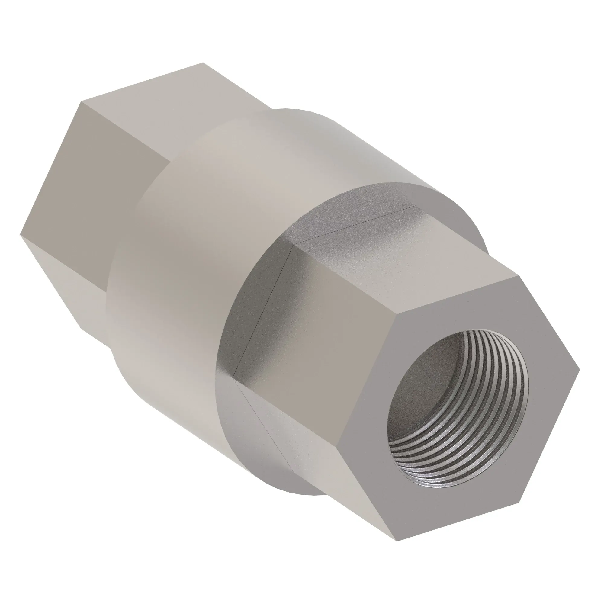 Check Valve