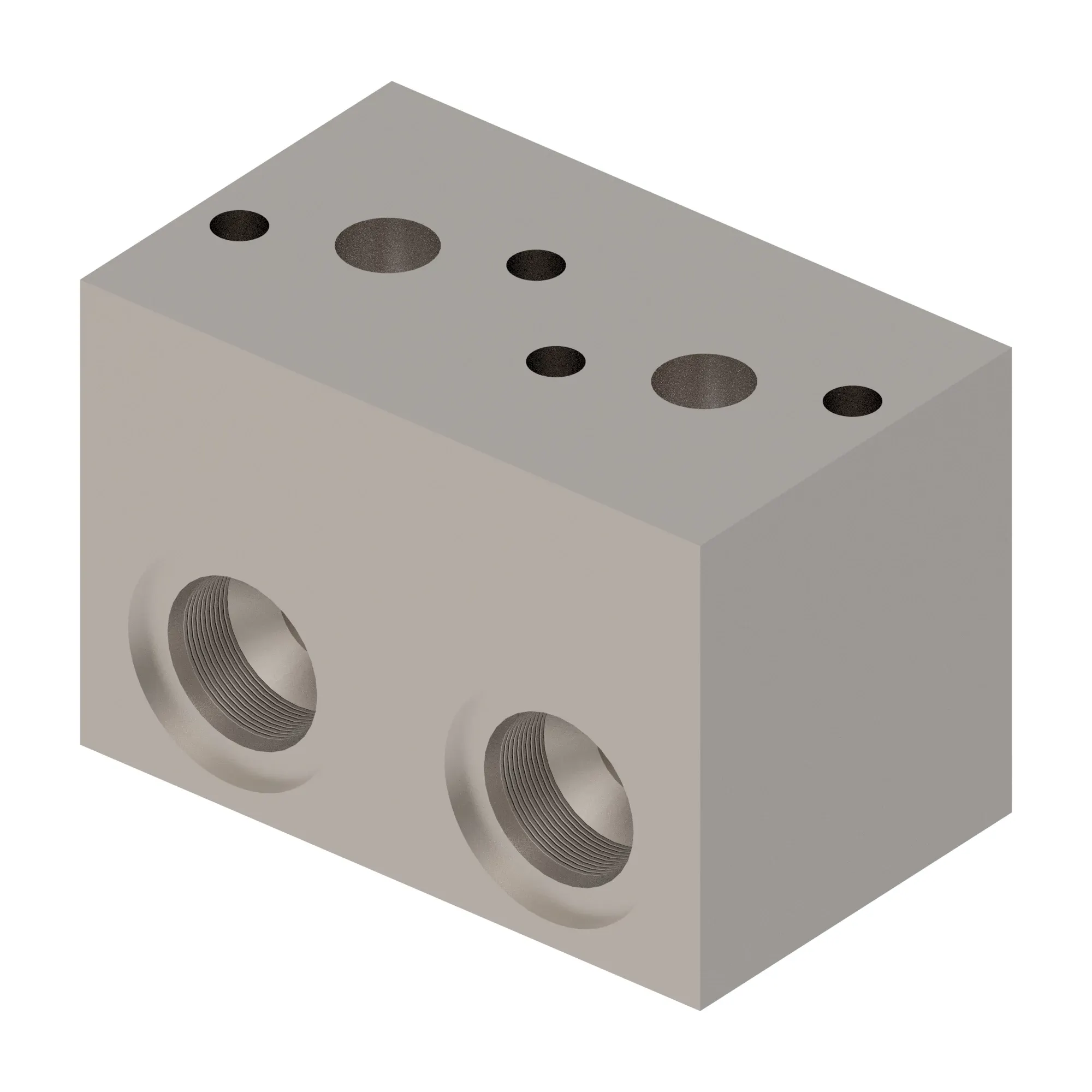 Manifold