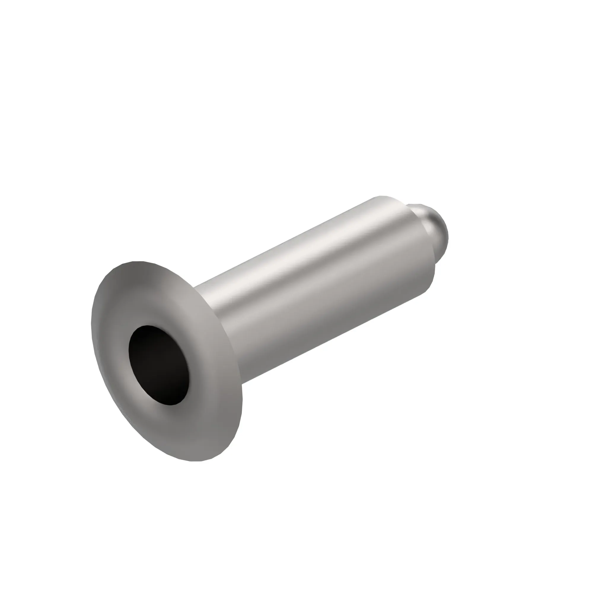 Rivet