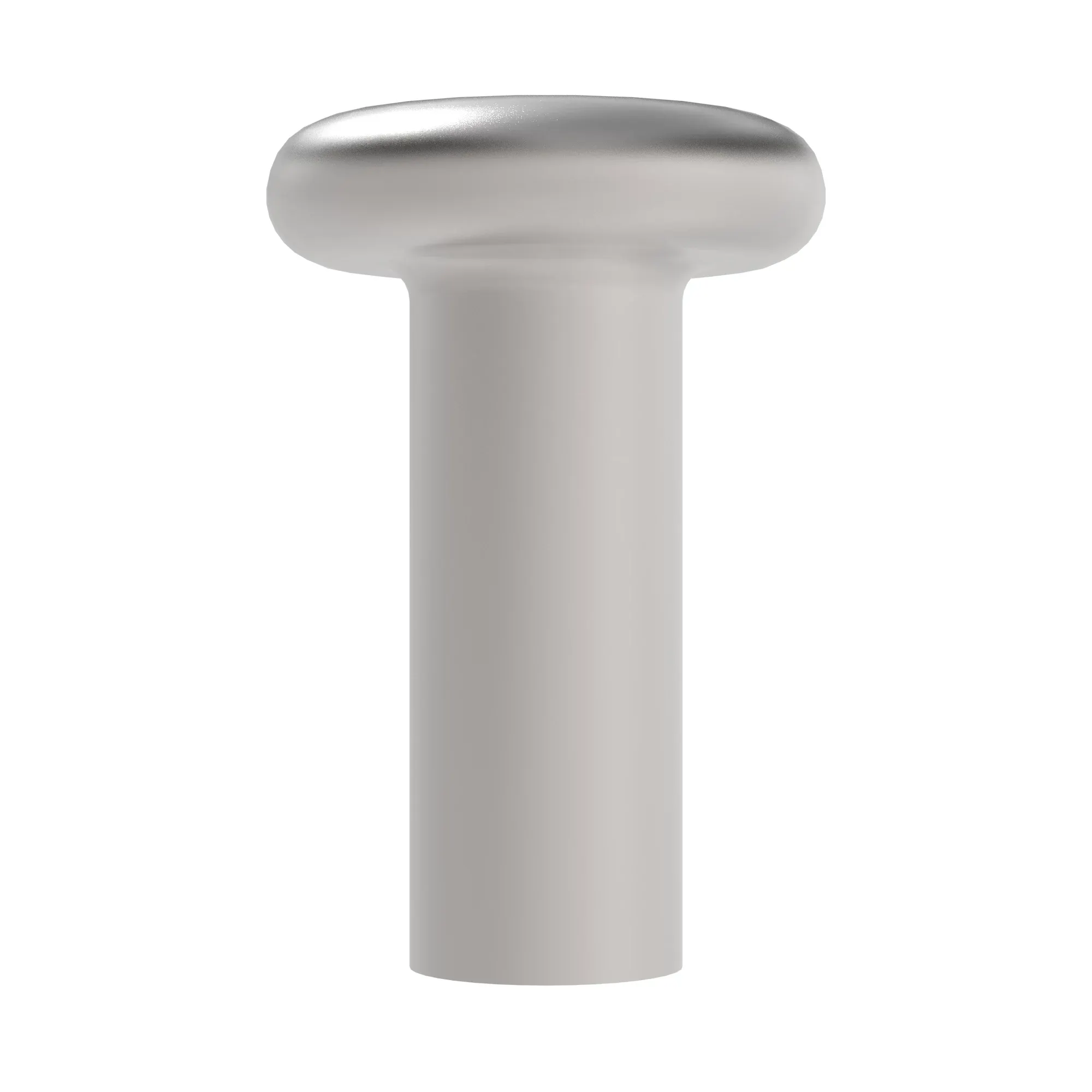 Rivet