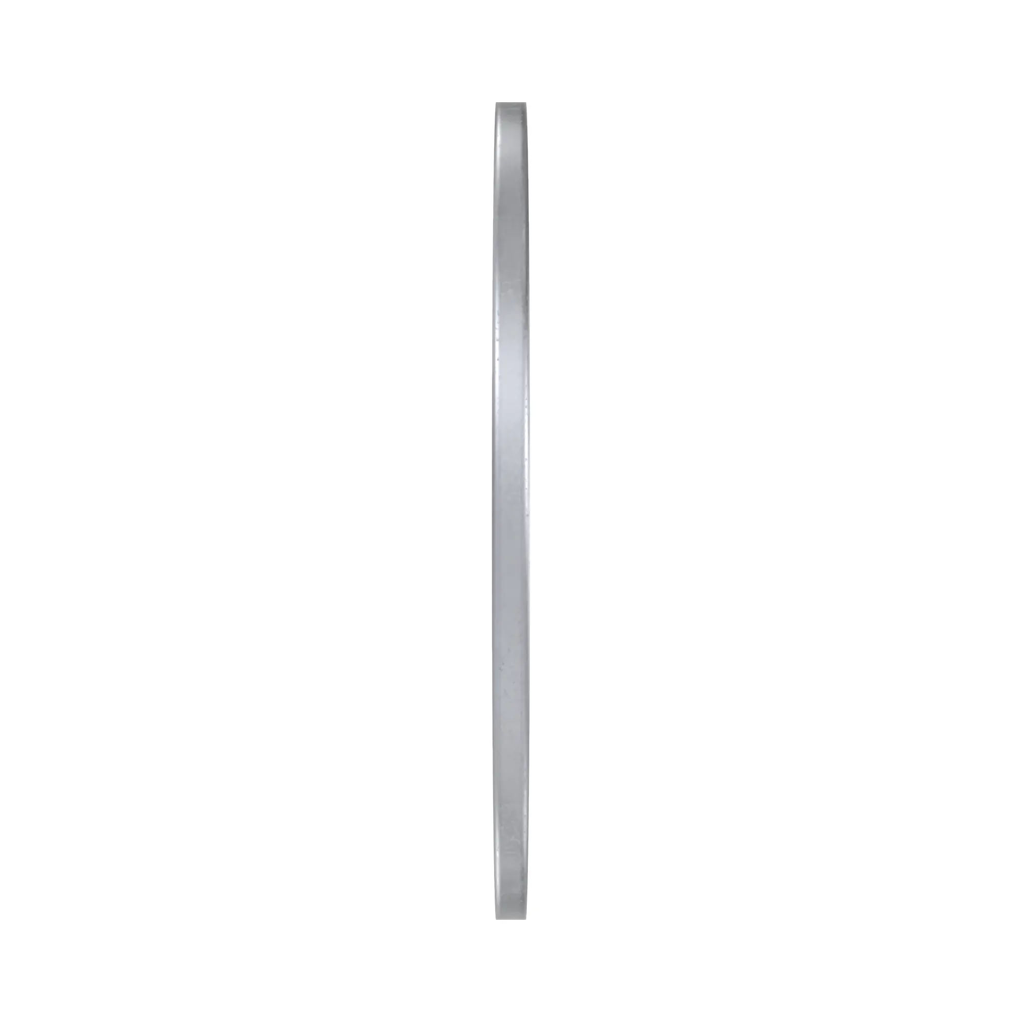 R168380: Thrust Washer