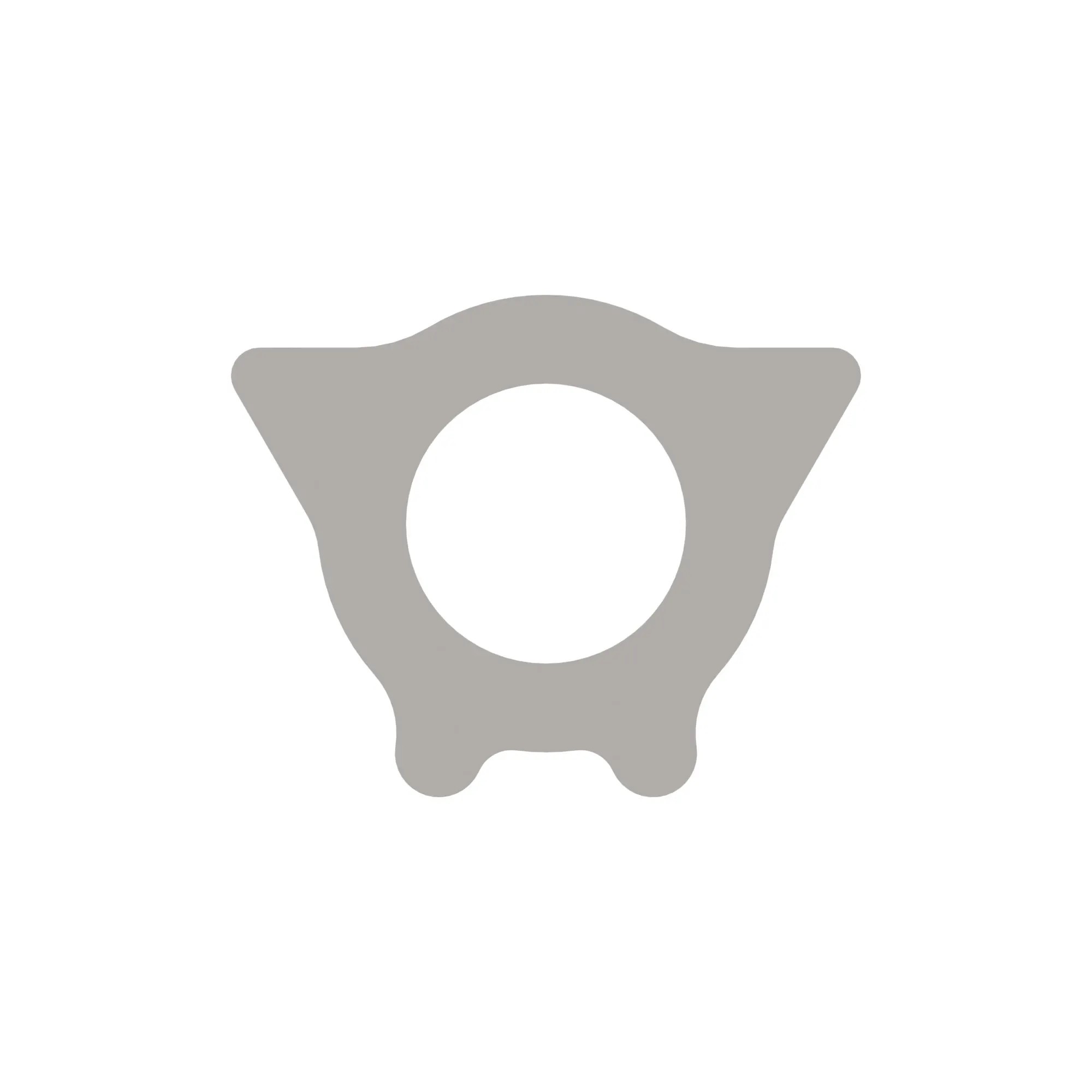 Thrust Washer