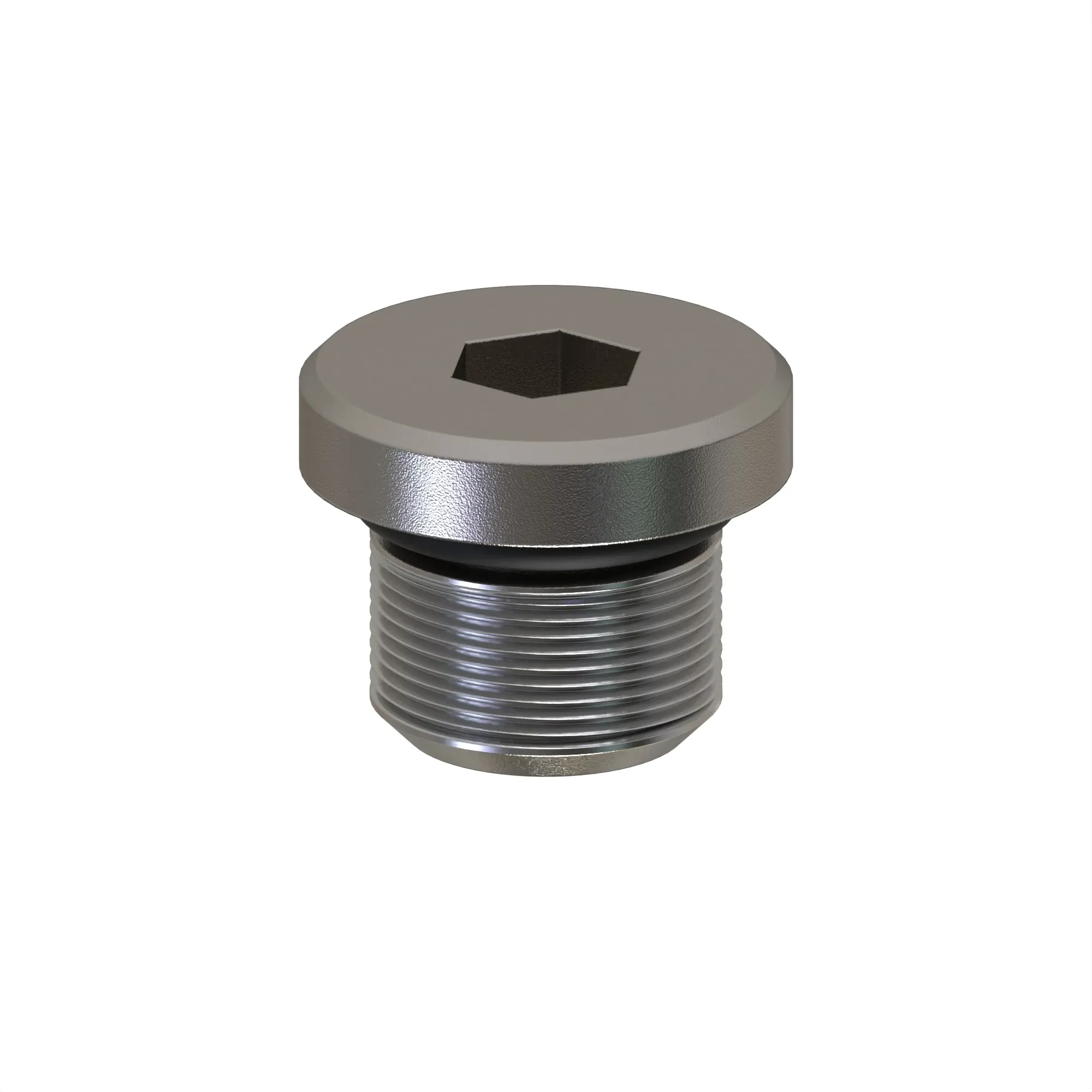 Drain Plug
