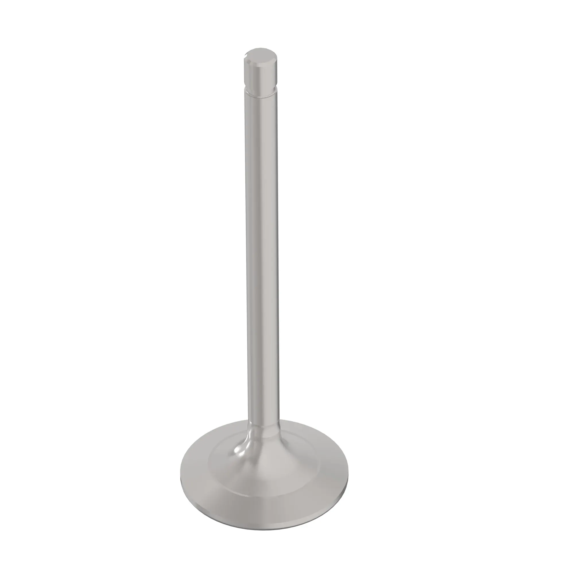 Intake Valve