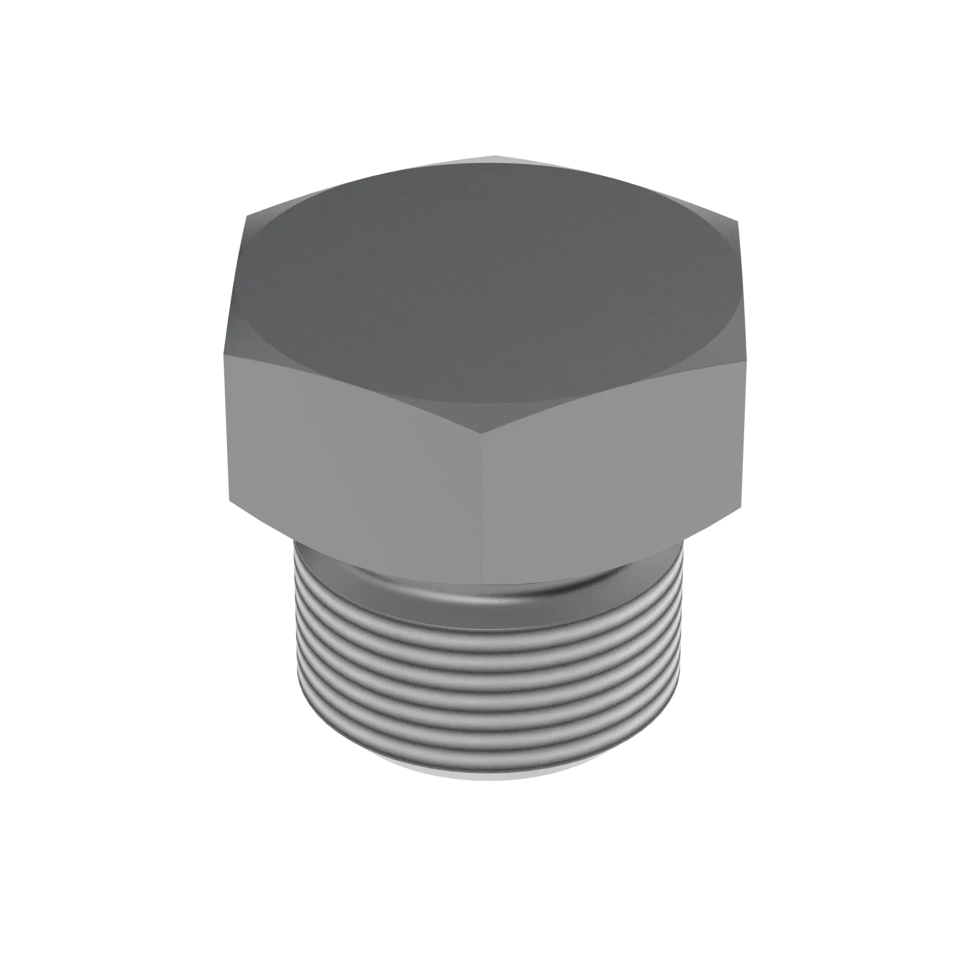Fitting Plug
