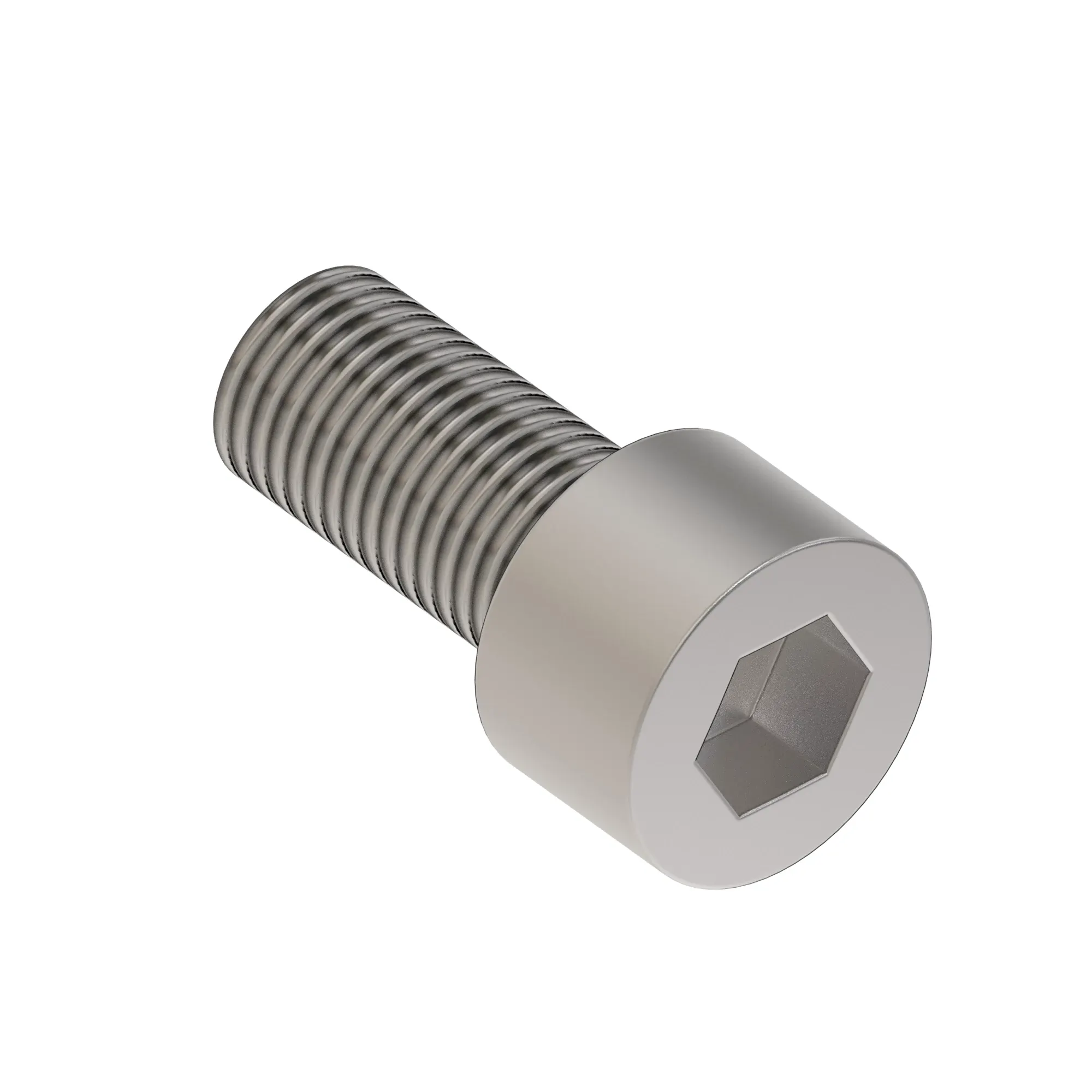 Screw, Hex Socket Head, Metric