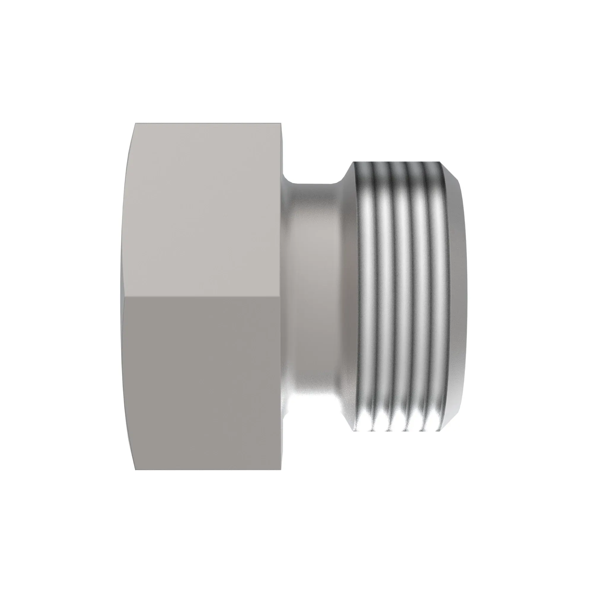 Fitting Plug